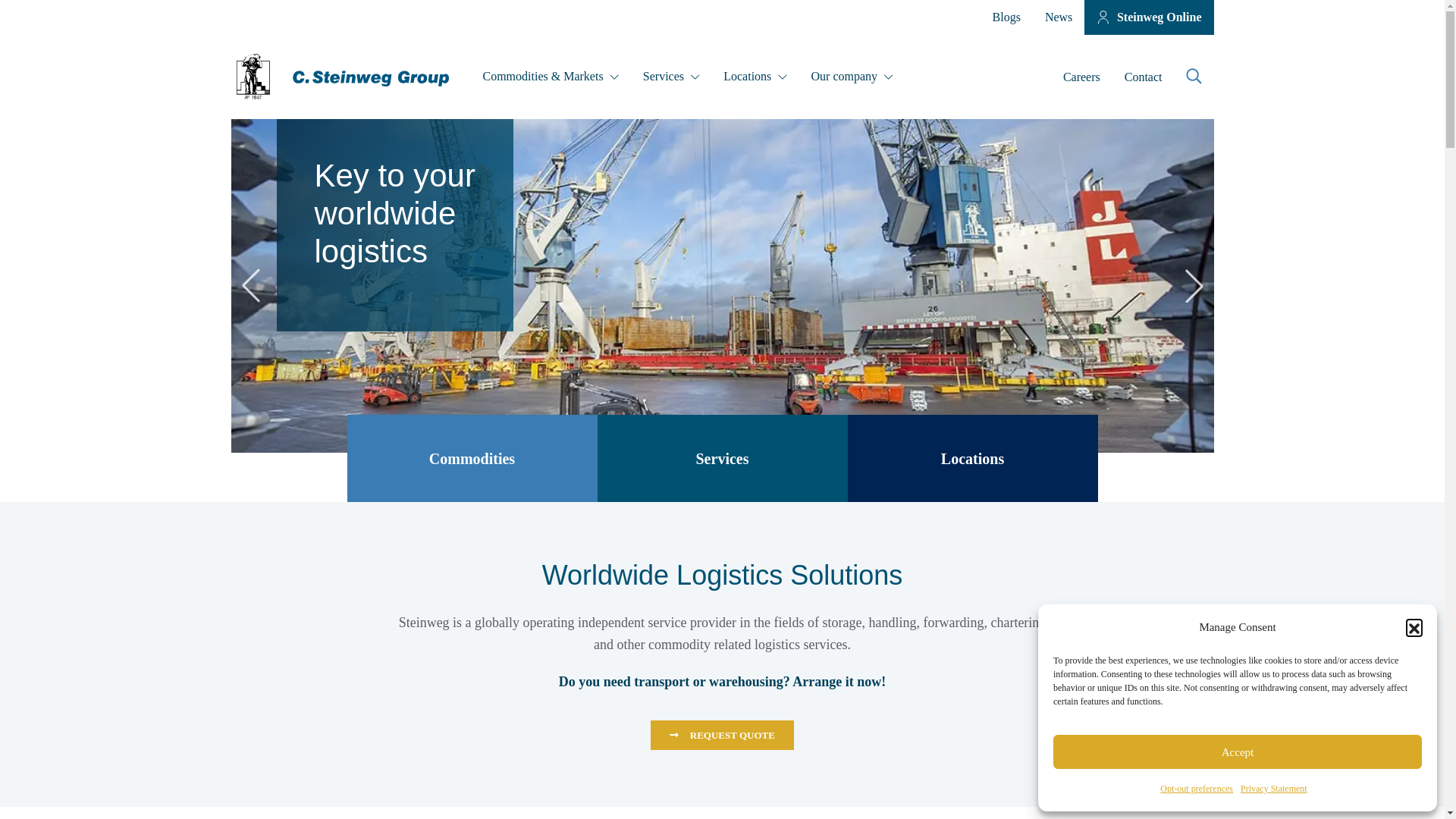 website screenshot of https://steinweg.vip/