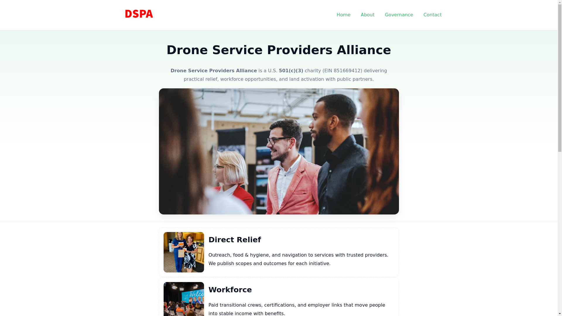 website screenshot of https://droneservic.cfd/
