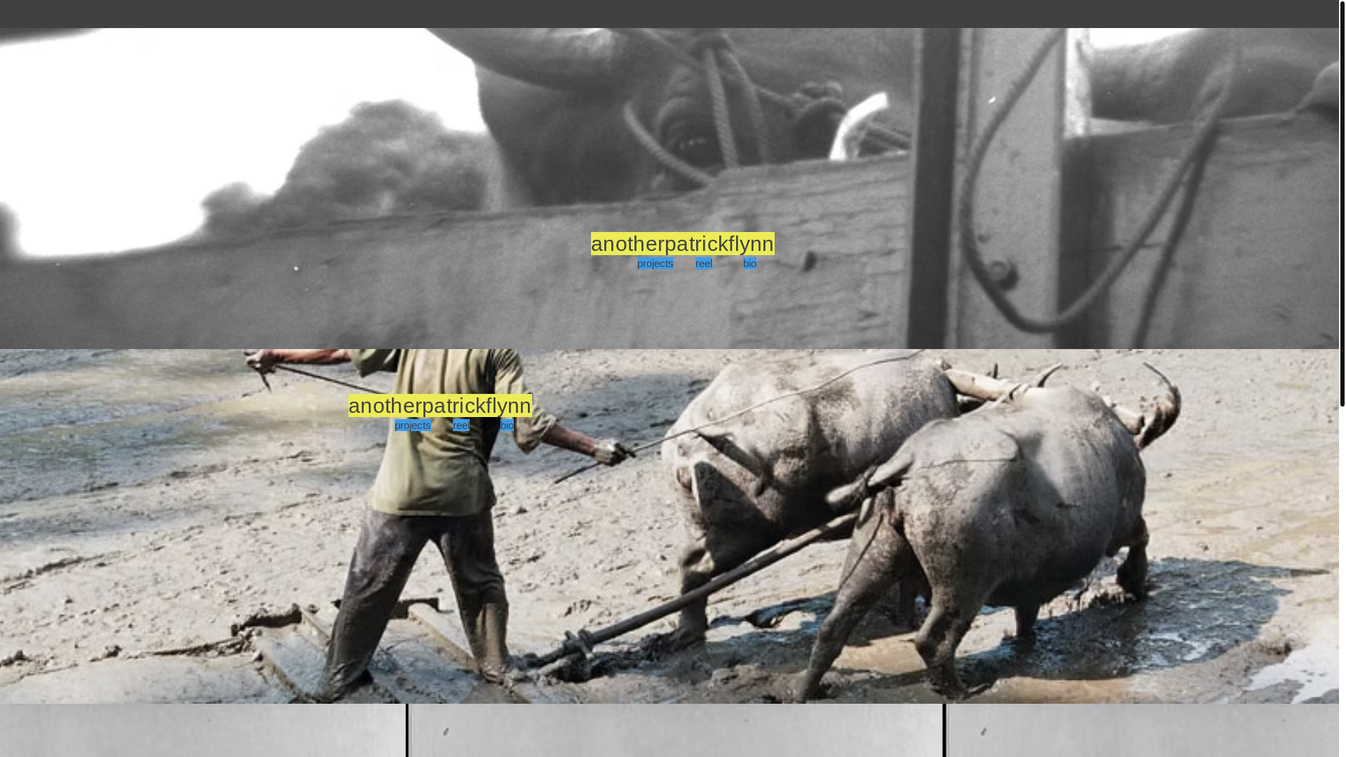 website screenshot of https://talesfromflynn.com/