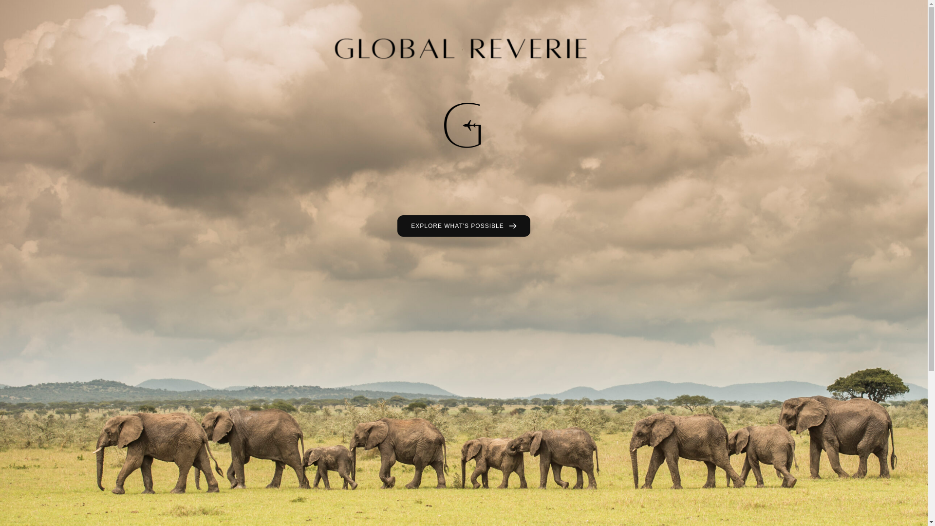 website screenshot of https://globalreverie.co/