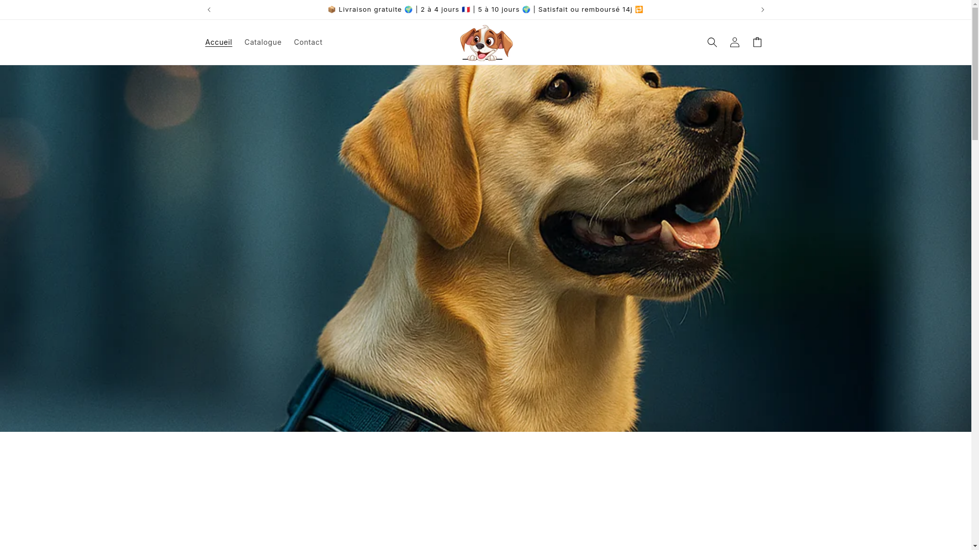 website screenshot of https://harnaiszen.com/