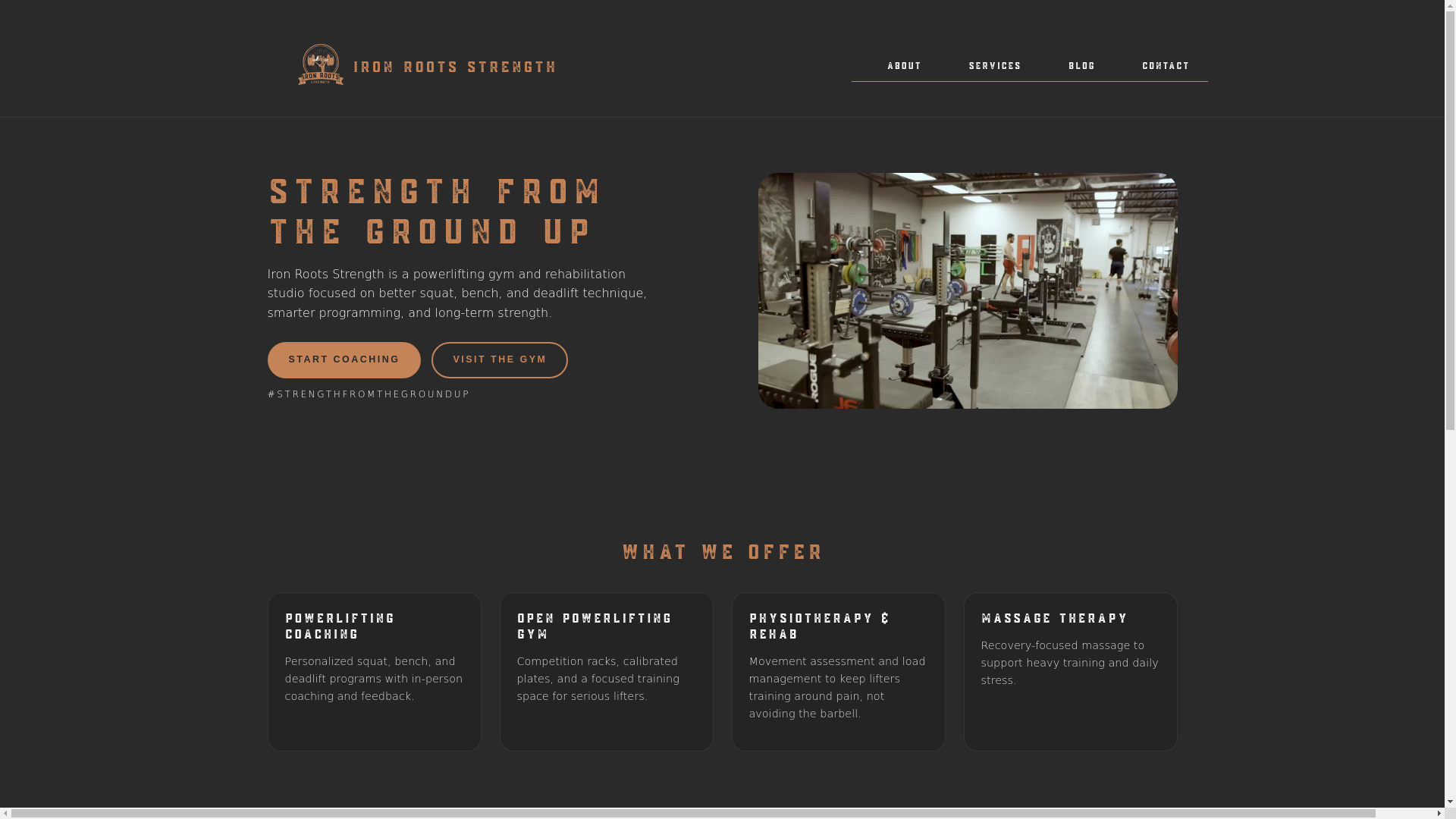 website screenshot of https://ironrootstrength.blog/