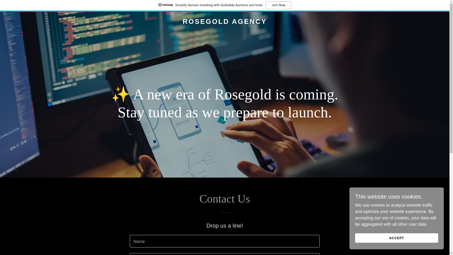 website screenshot of https://rosegoldagency.ca/