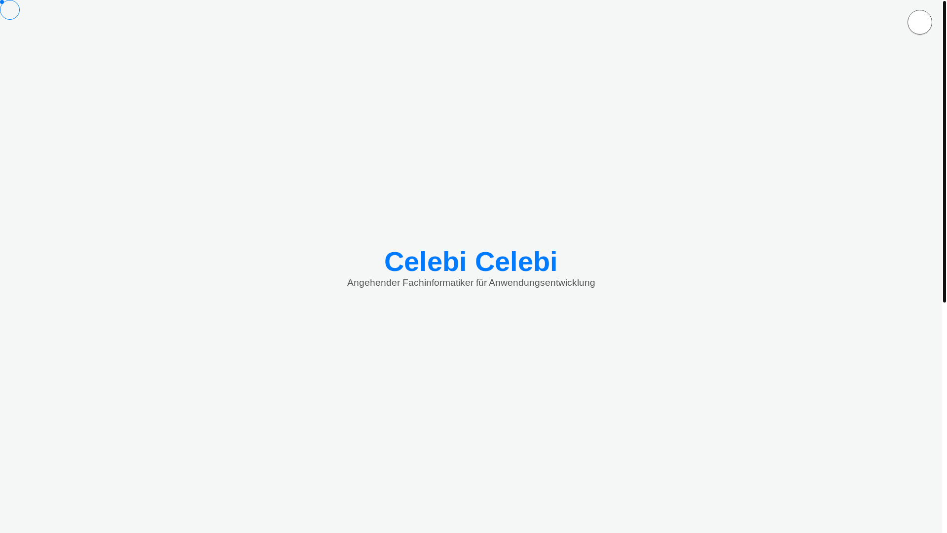 website screenshot of https://celebicelebi.de/