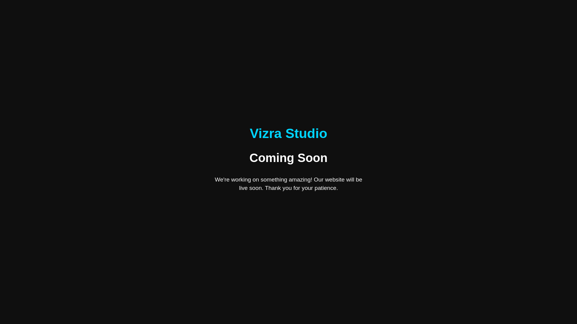 website screenshot of https://vizrastudio.com/