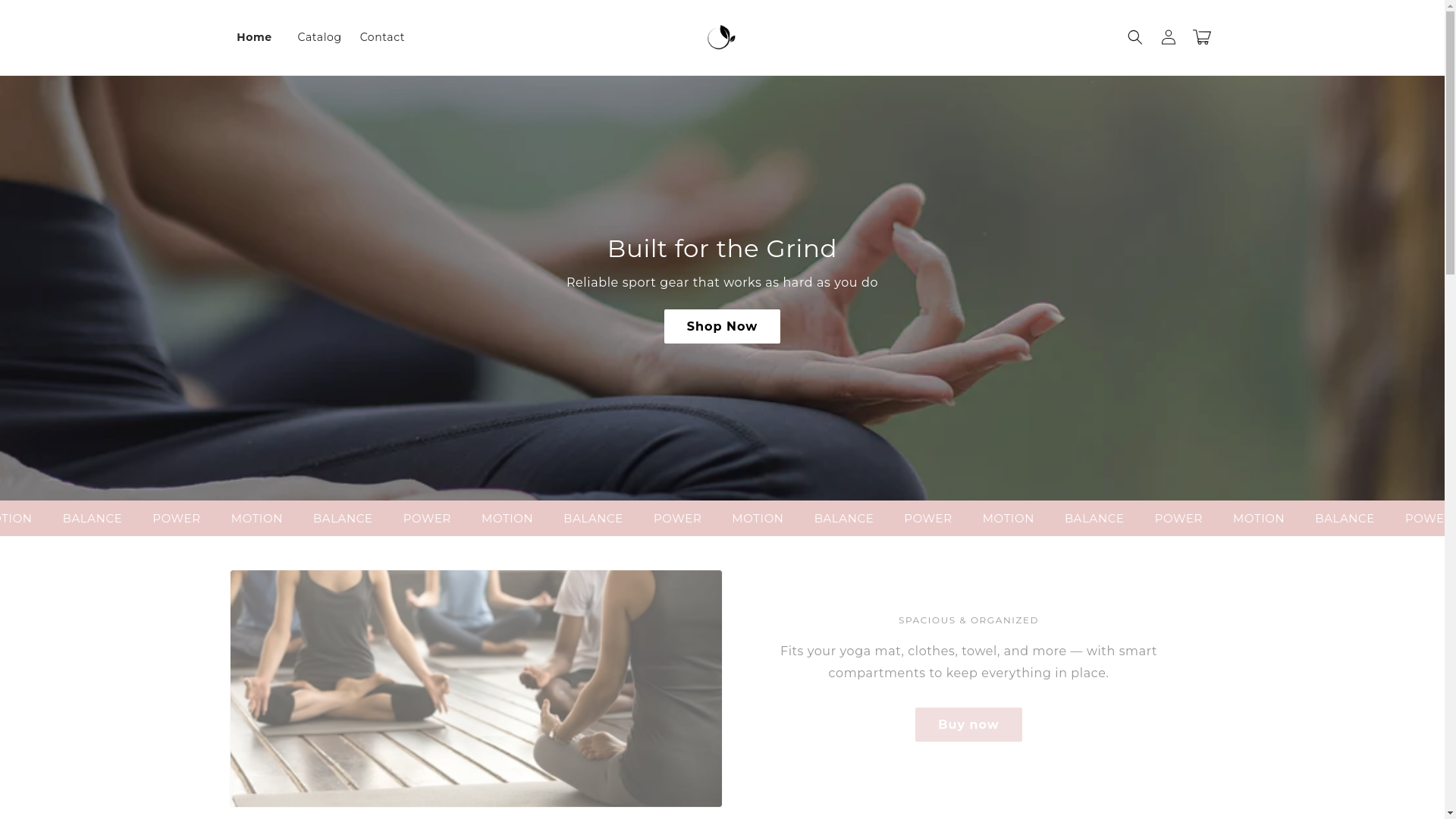 website screenshot of https://movehaus.store/