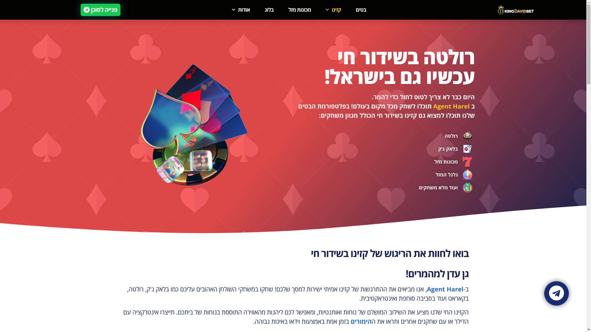 website screenshot of https://agent-harel.com/