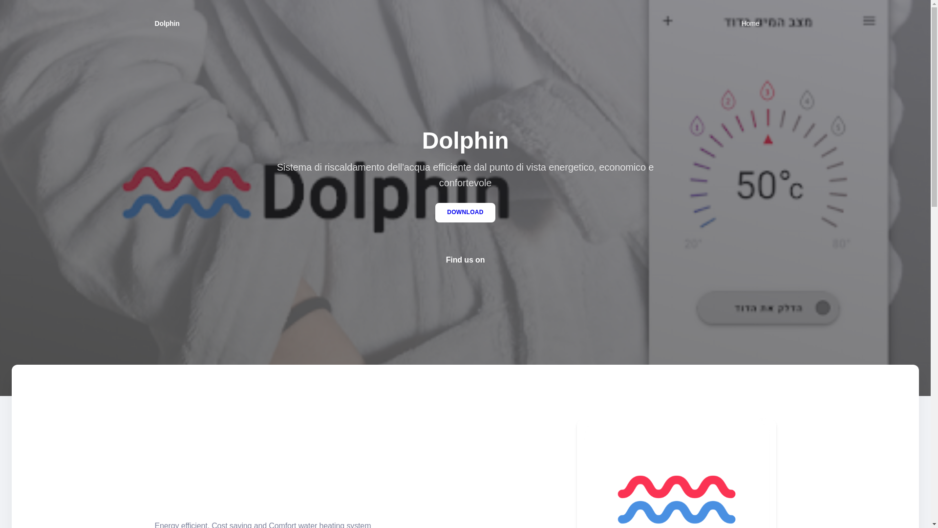 website screenshot of https://dolphinocean.online/