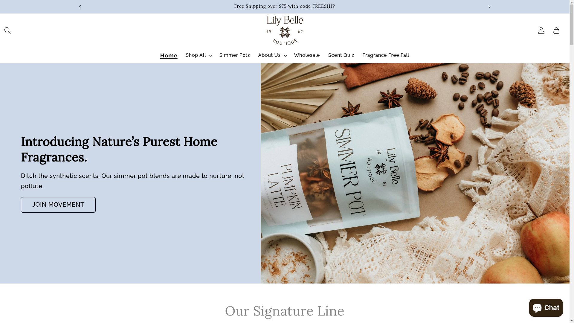 website screenshot of https://thesimmerco.com/