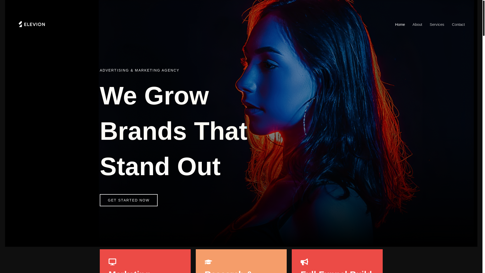 website screenshot of https://eleviongs.com/