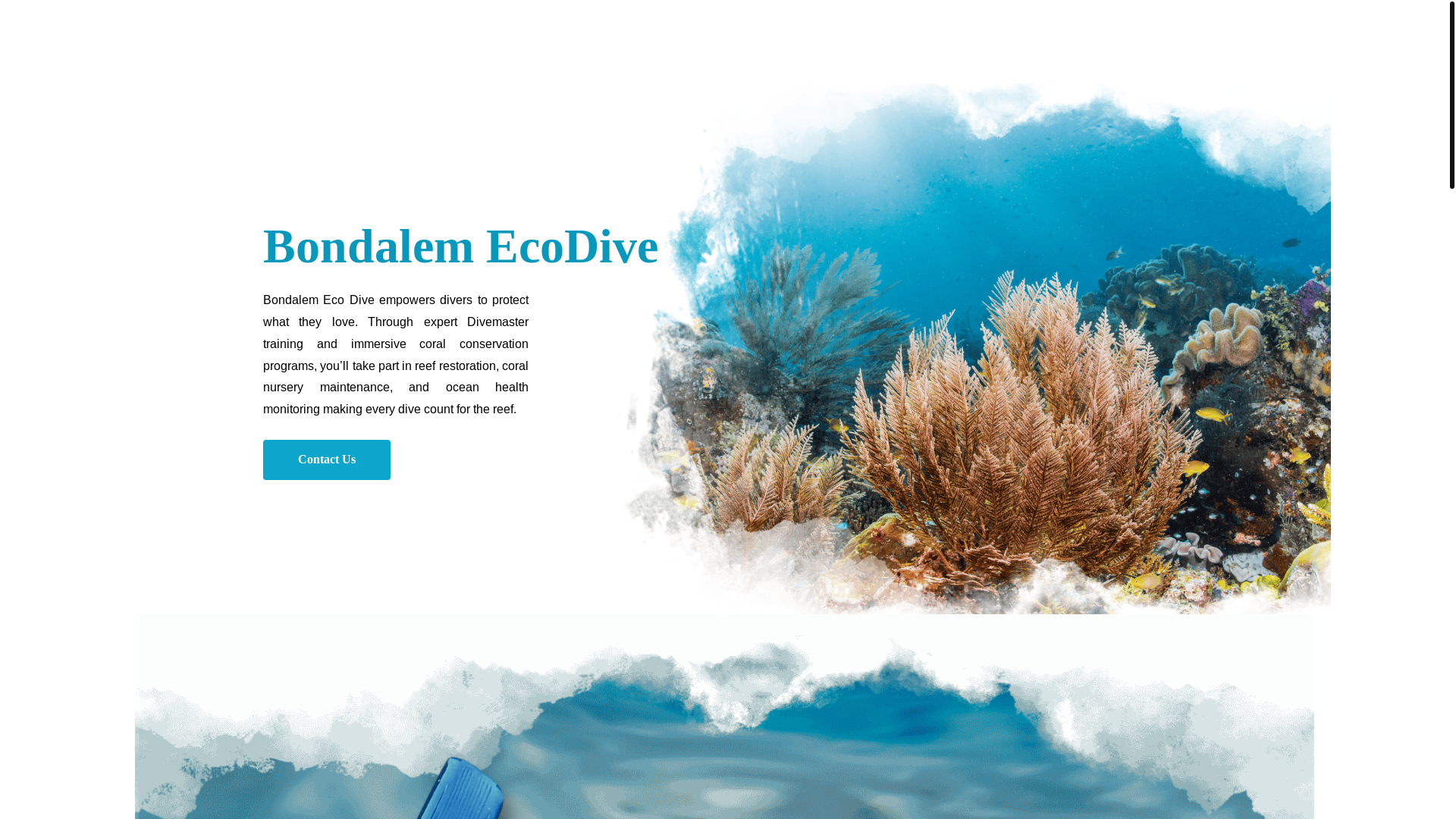 website screenshot of https://bondalemecodive.co.id/