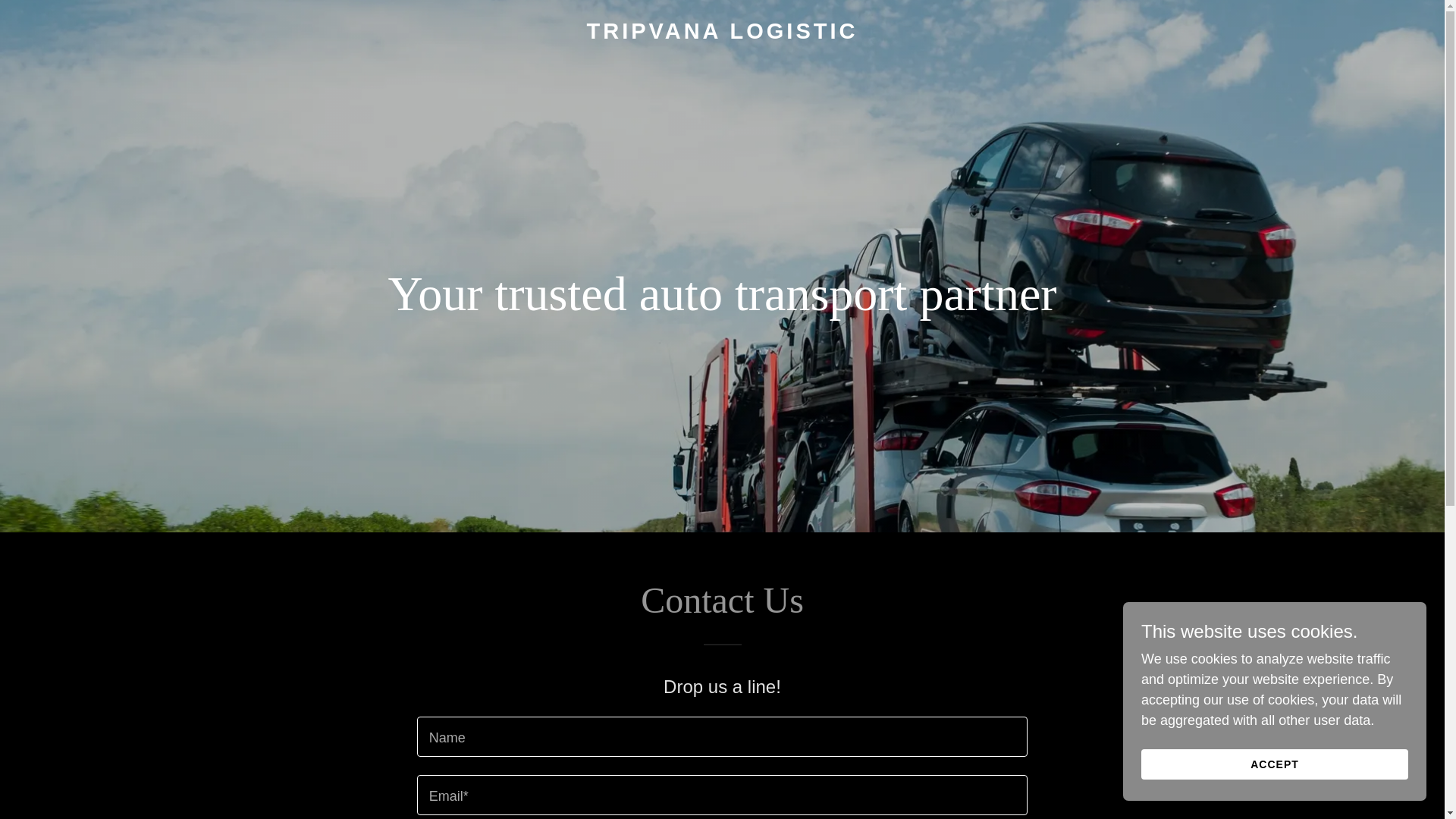 website screenshot of https://tripvanalogistic.com/