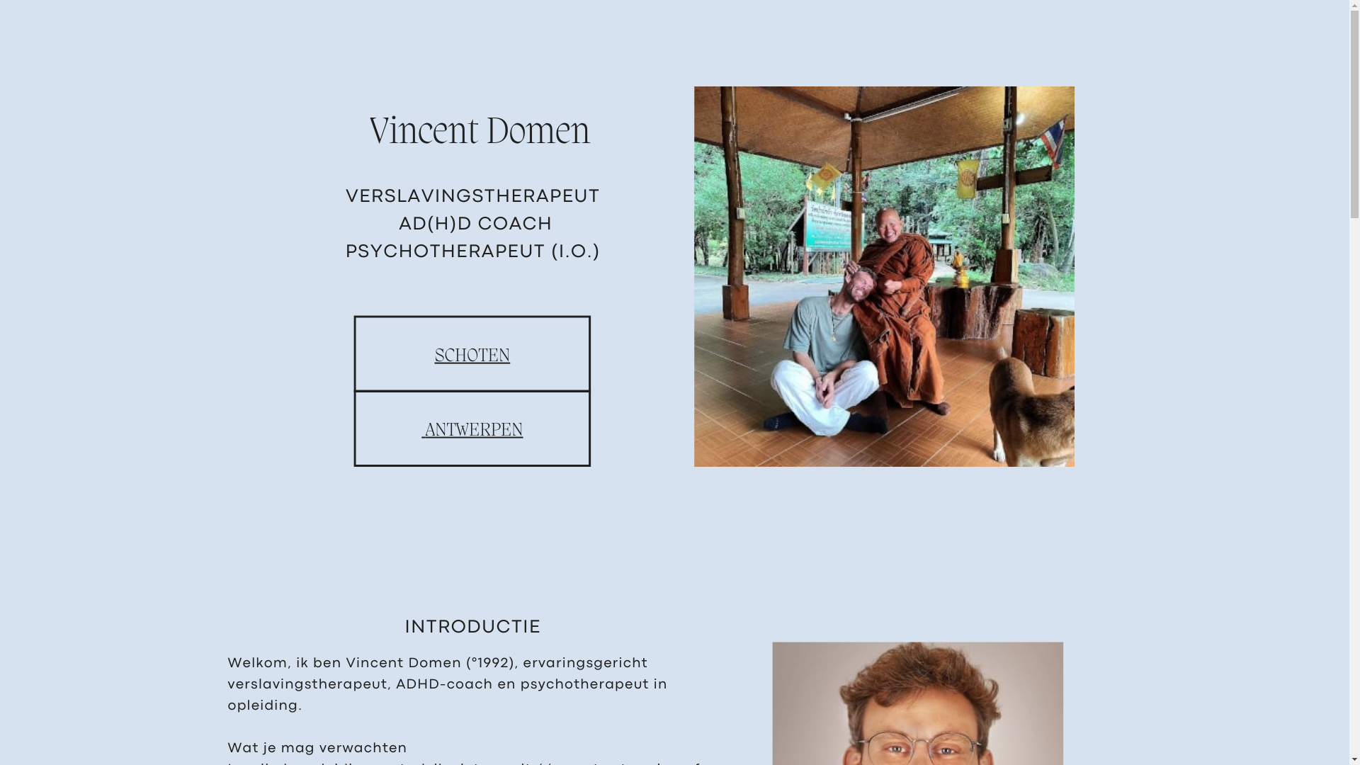 website screenshot of https://vincentdomen.be/