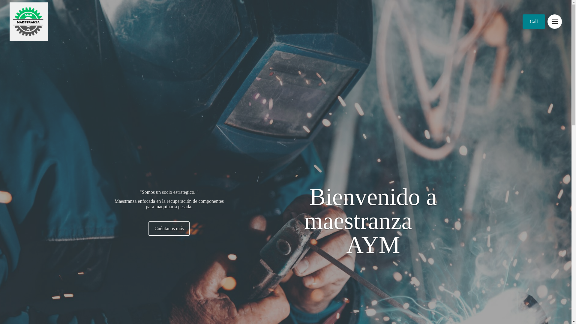 website screenshot of https://maestranzaaym.cl/