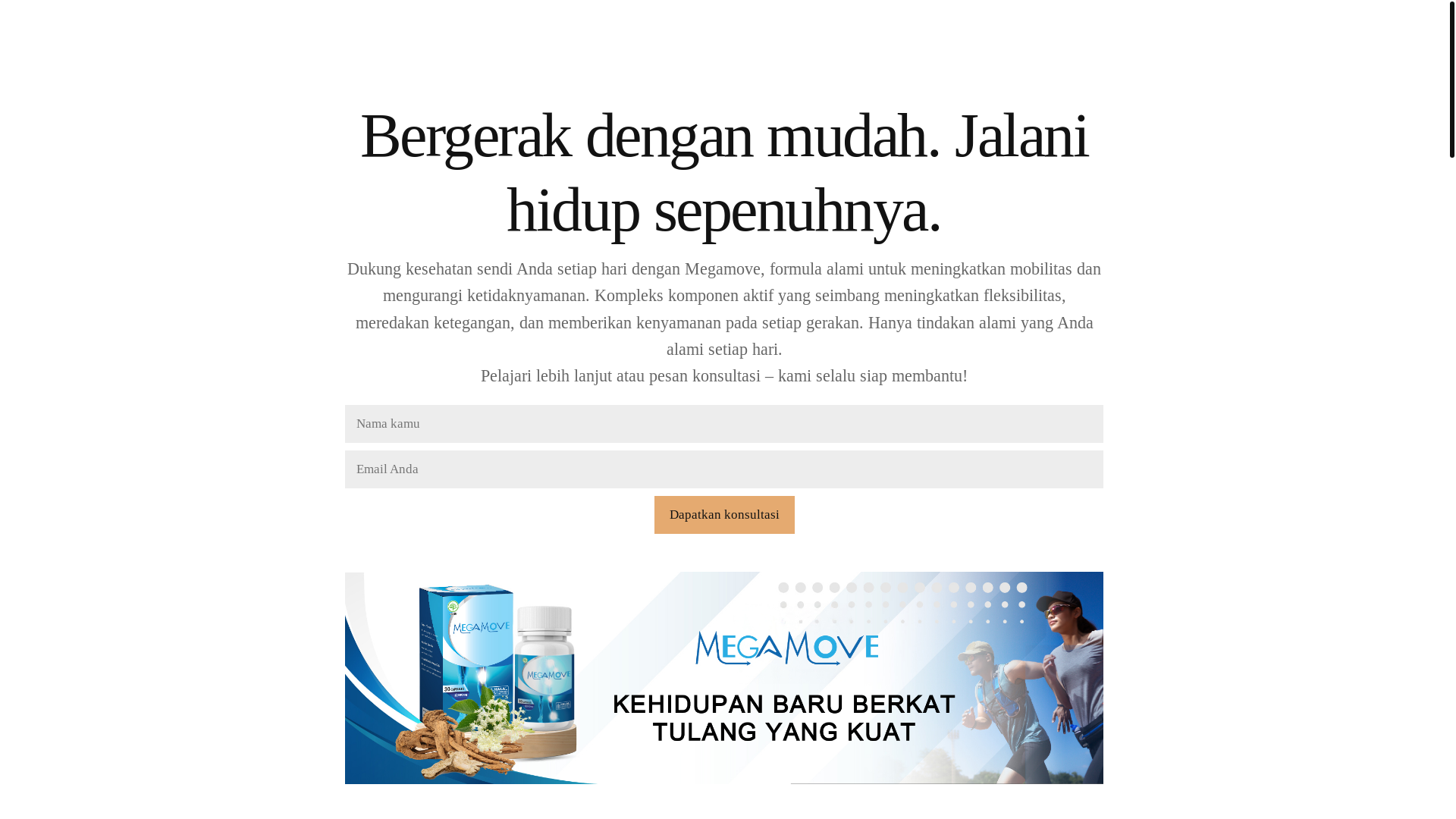 website screenshot of https://activeeasezone.info/