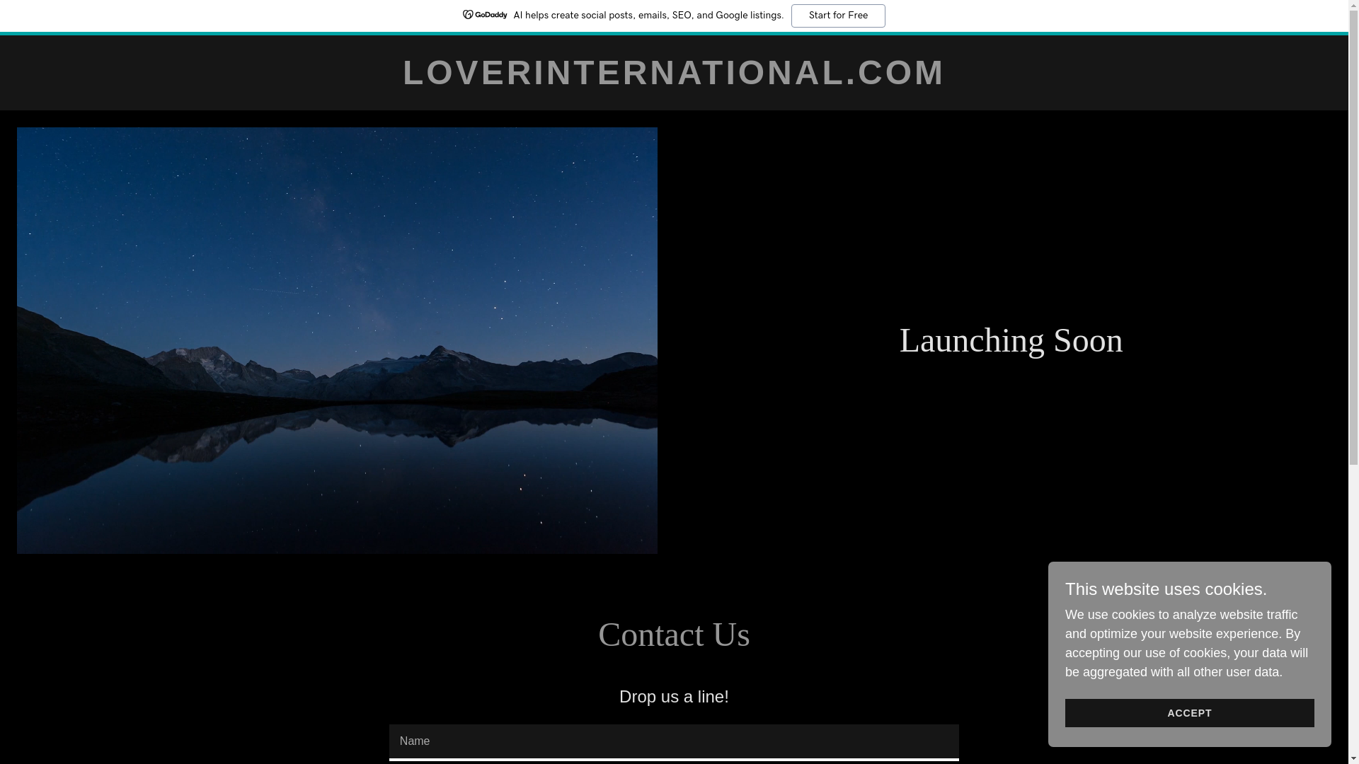 website screenshot of https://loverinternational.com/