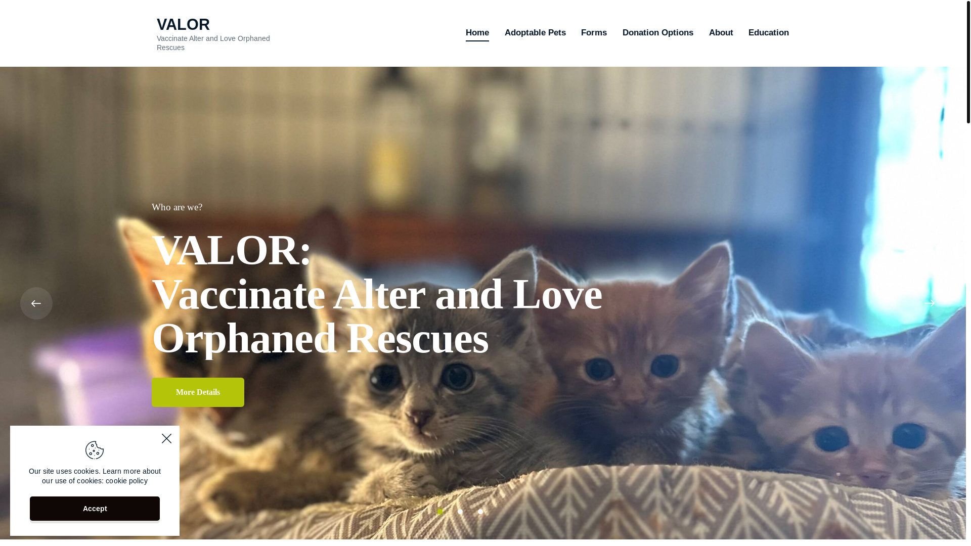 website screenshot of https://valor2019-static-github.pages.dev/