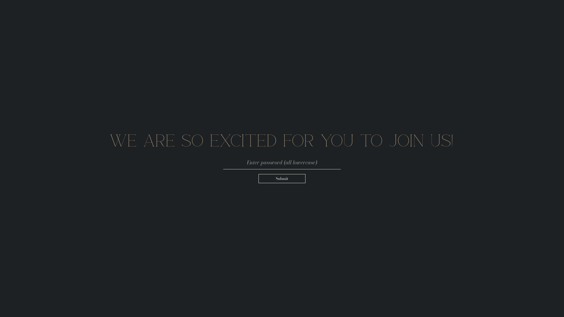 website screenshot of https://aleandsal.com/