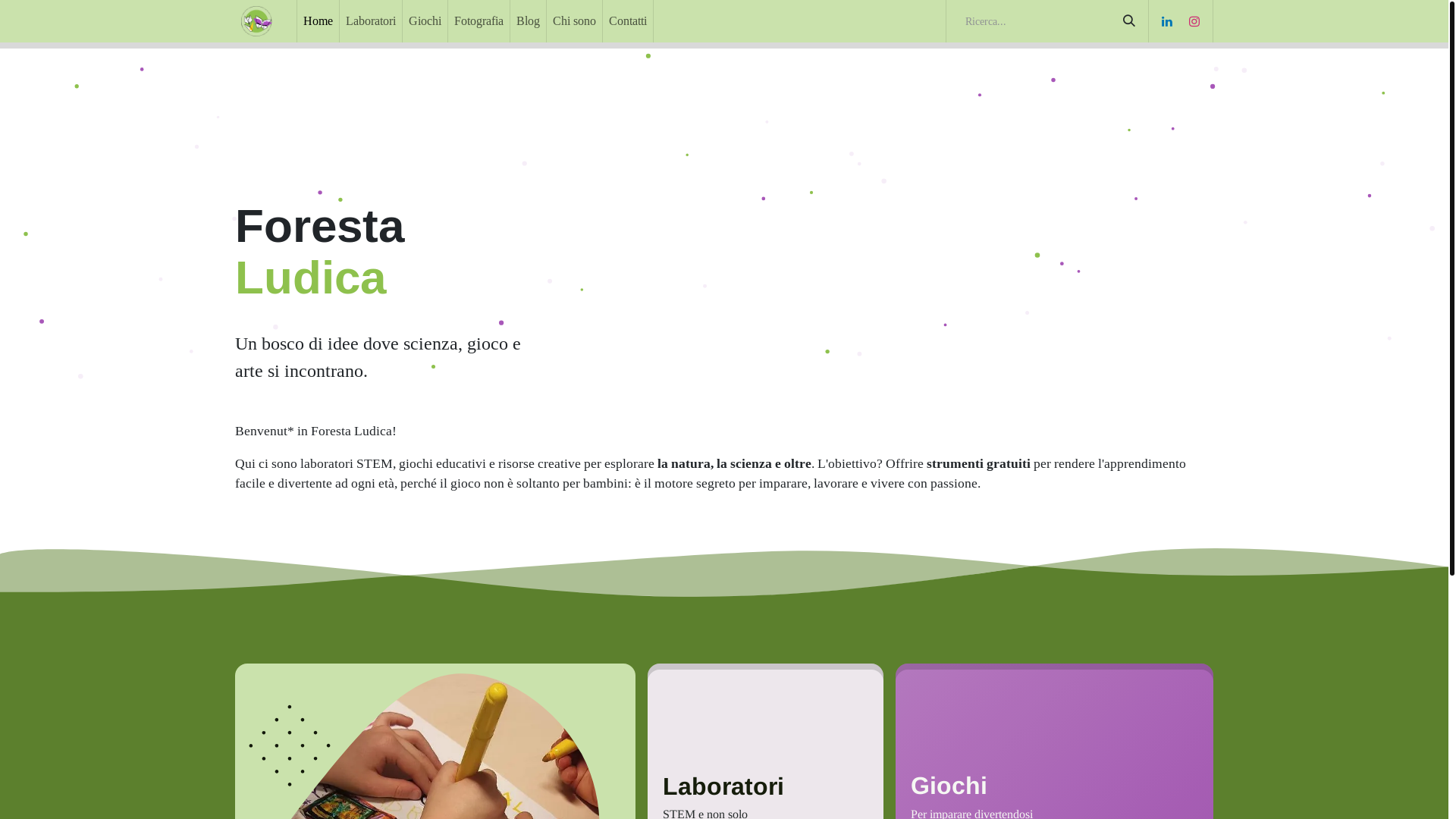website screenshot of https://forestaludica.eu/
