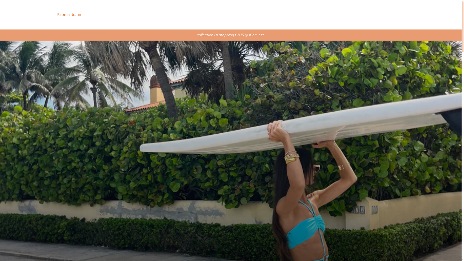 website screenshot of https://palomabraun.com/