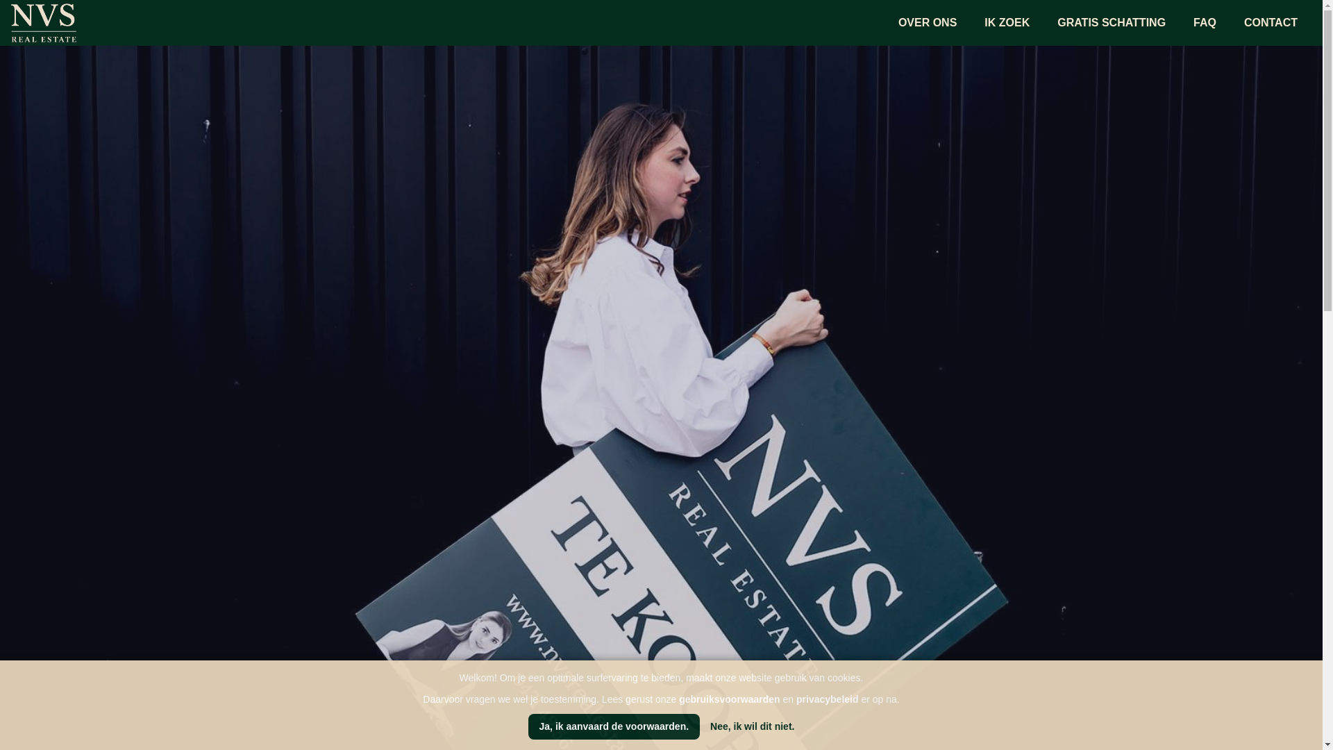 website screenshot of https://nvsrealestate.be/