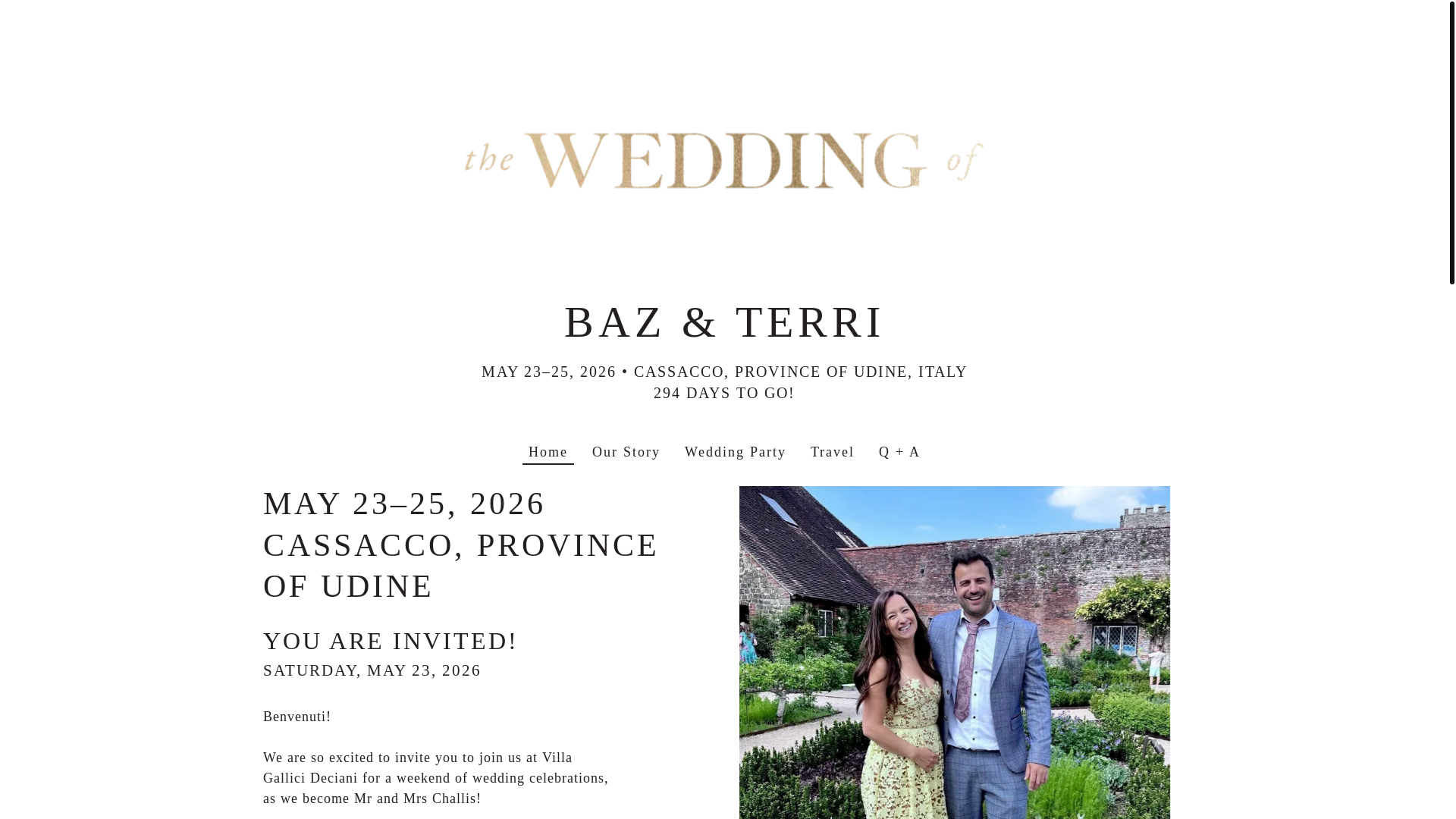 website screenshot of https://bazandterri.com/