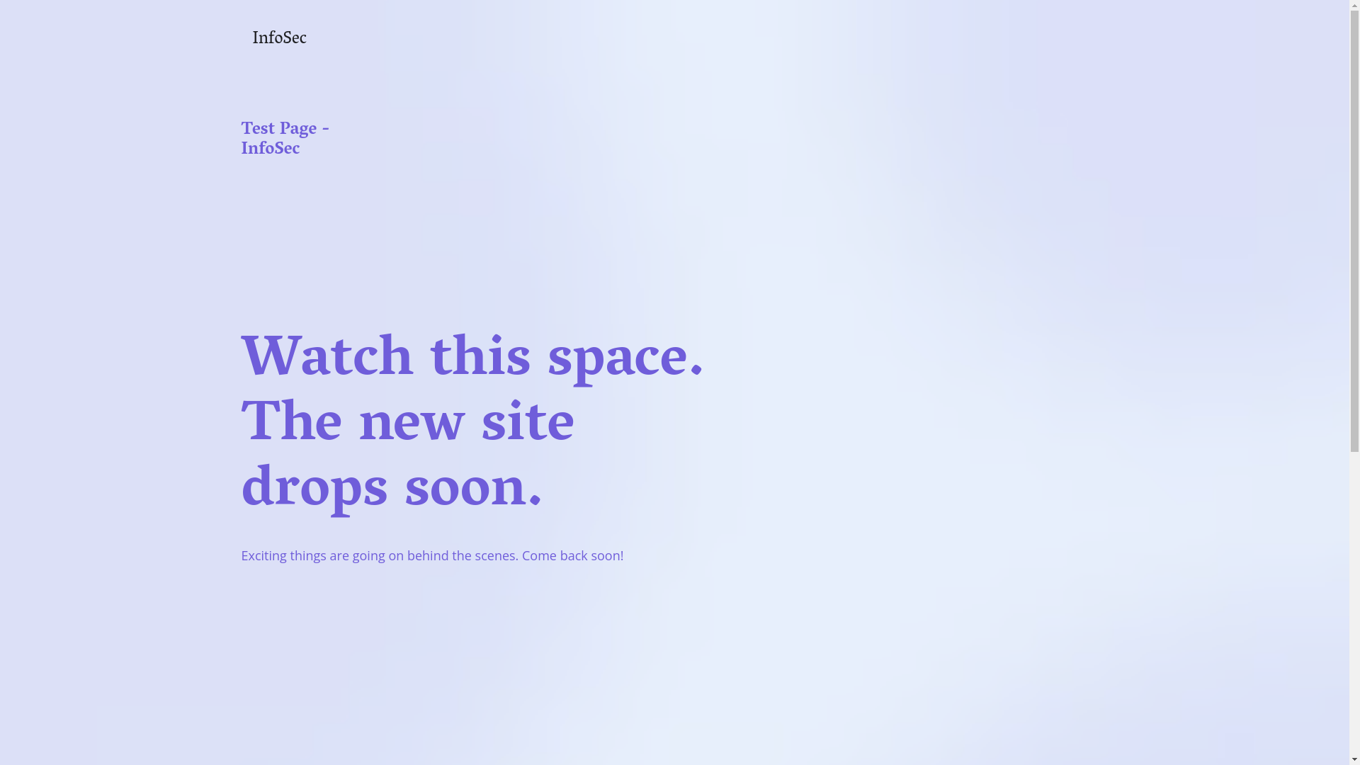 website screenshot of https://auditvantage.de/