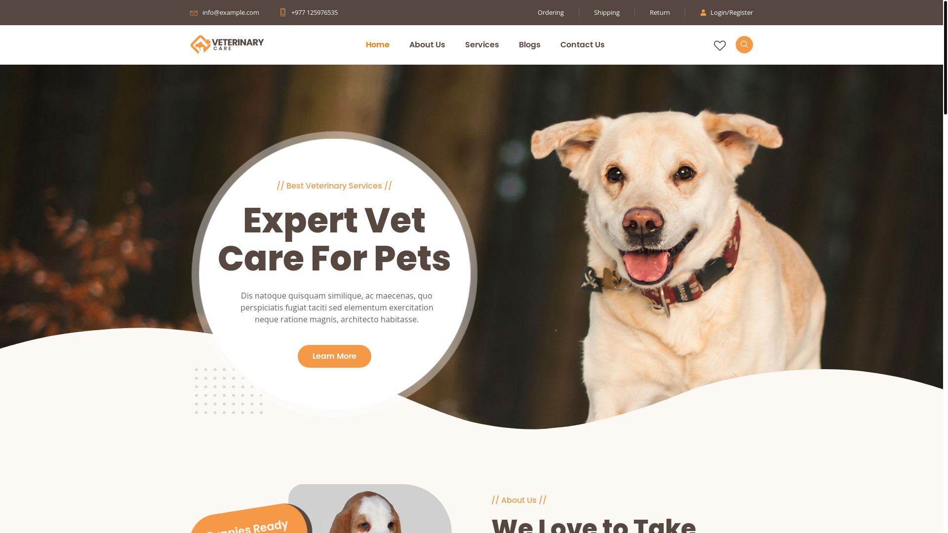website screenshot of https://jorgovetclinic.com/