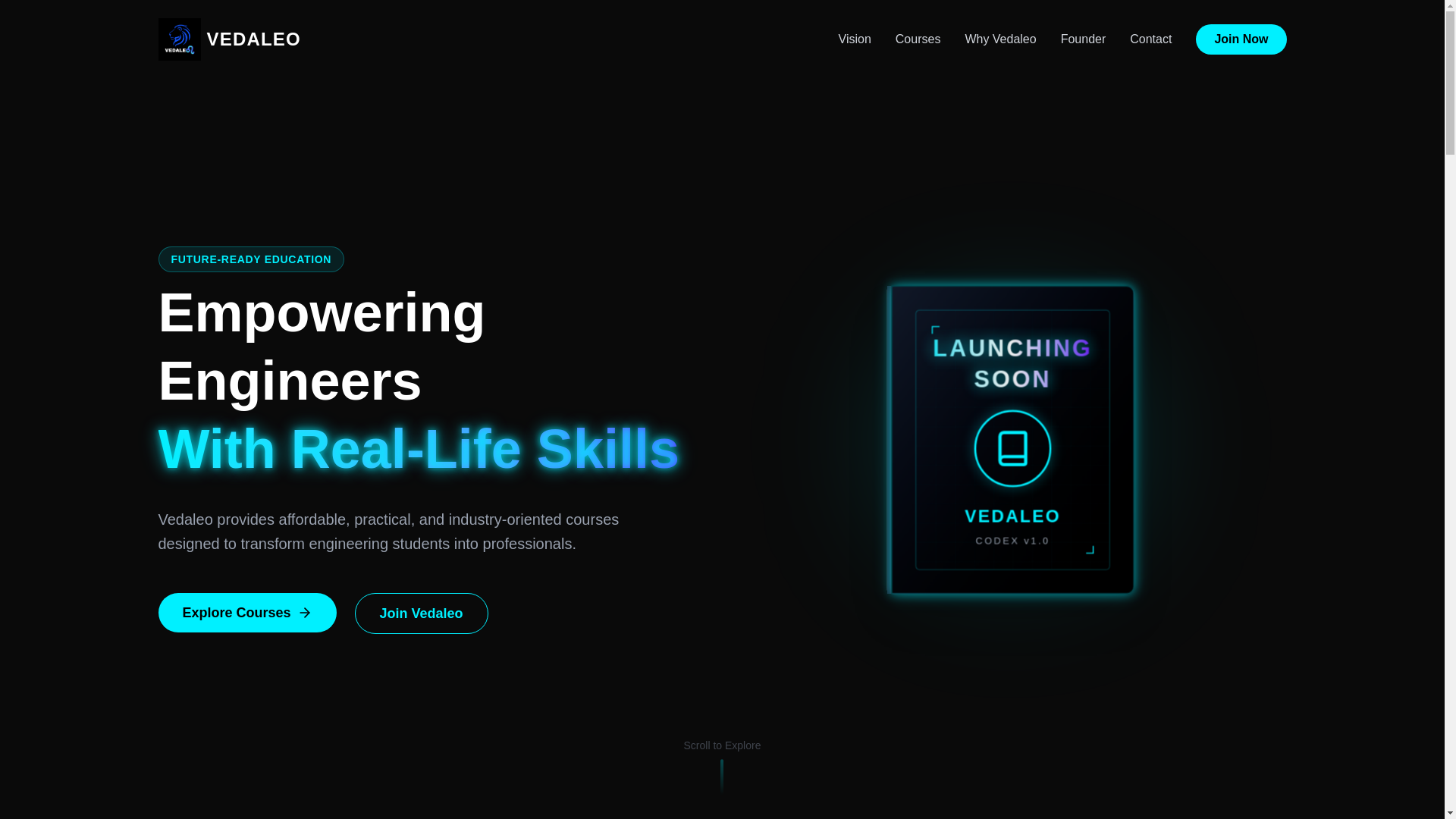 website screenshot of https://vedaleo.com/