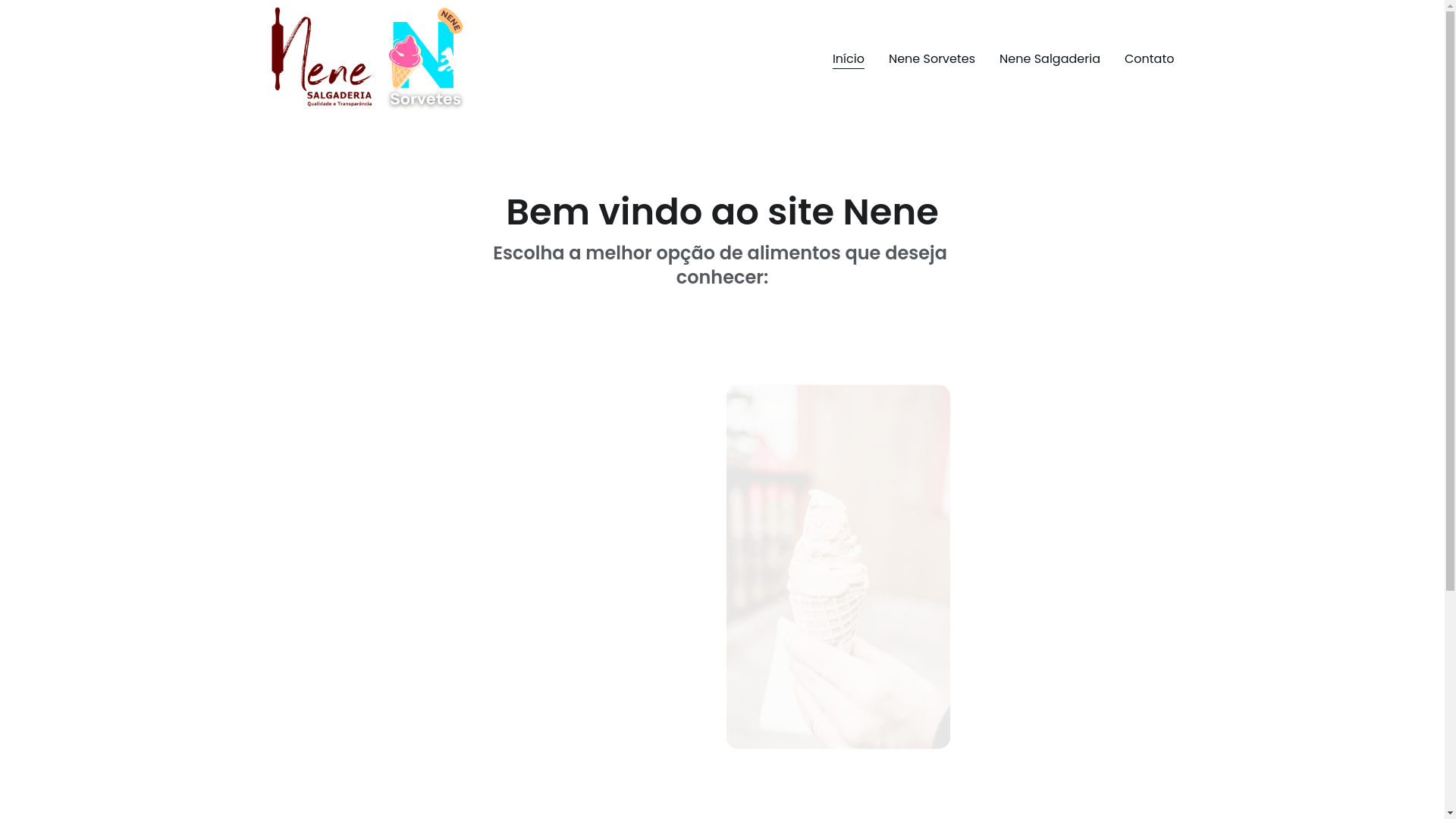 website screenshot of https://nenesalgaderiaesorveteria.com.br/