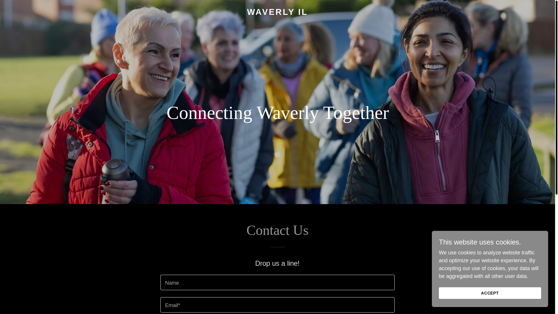 website screenshot of https://waverlyil.net/