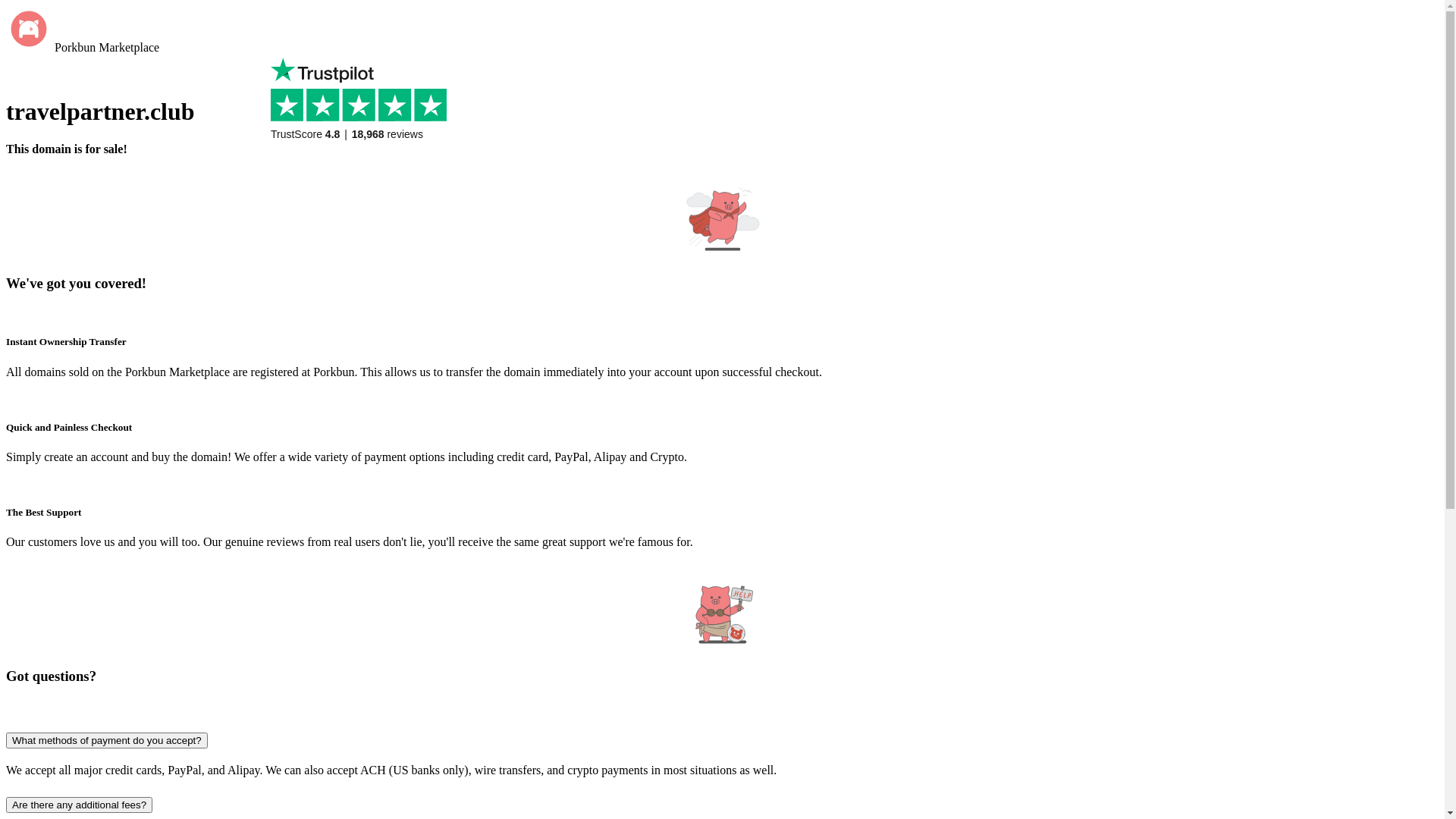 website screenshot of https://travelpartner.club/
