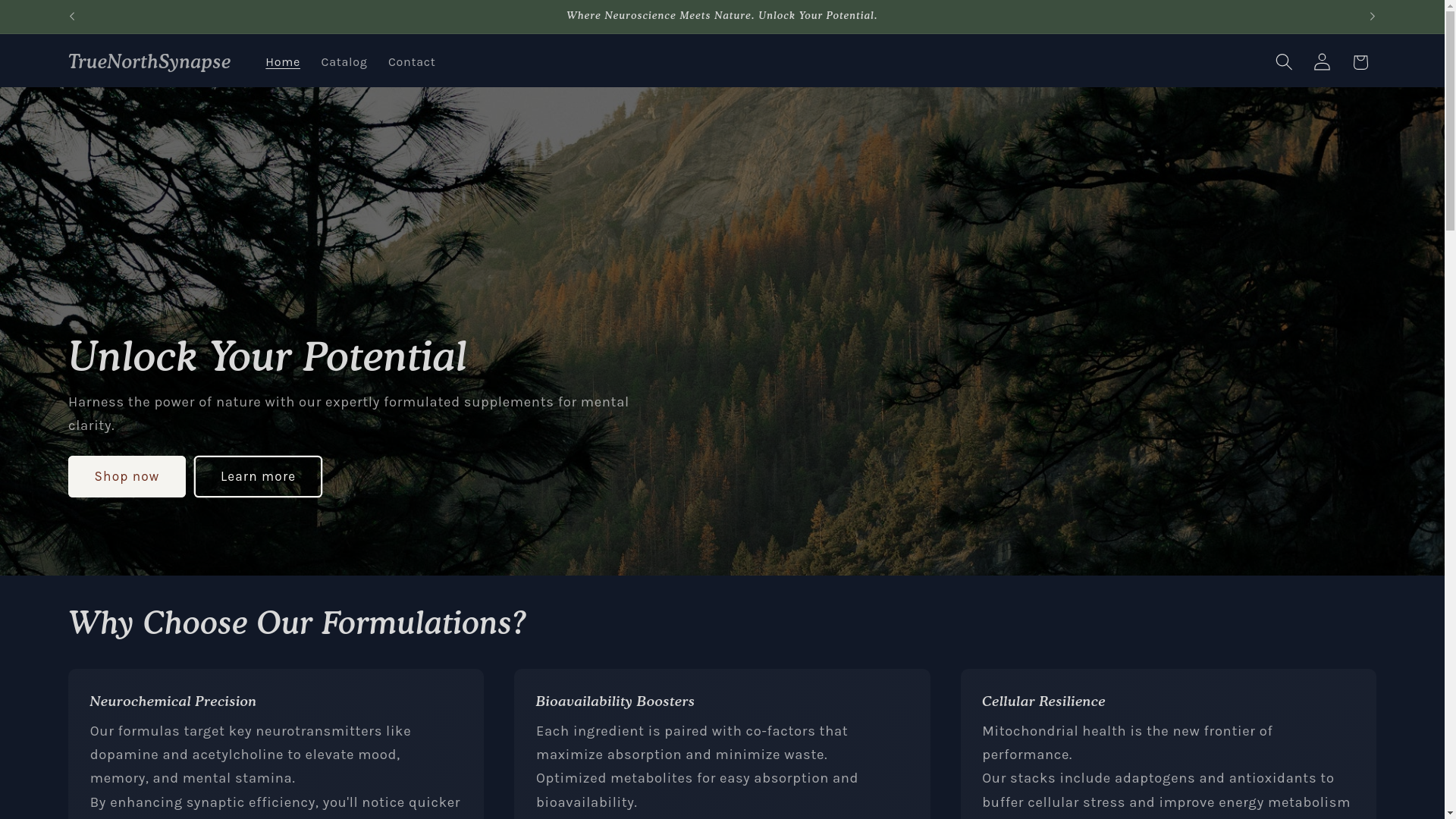 website screenshot of https://truenorthsynapse.ca/
