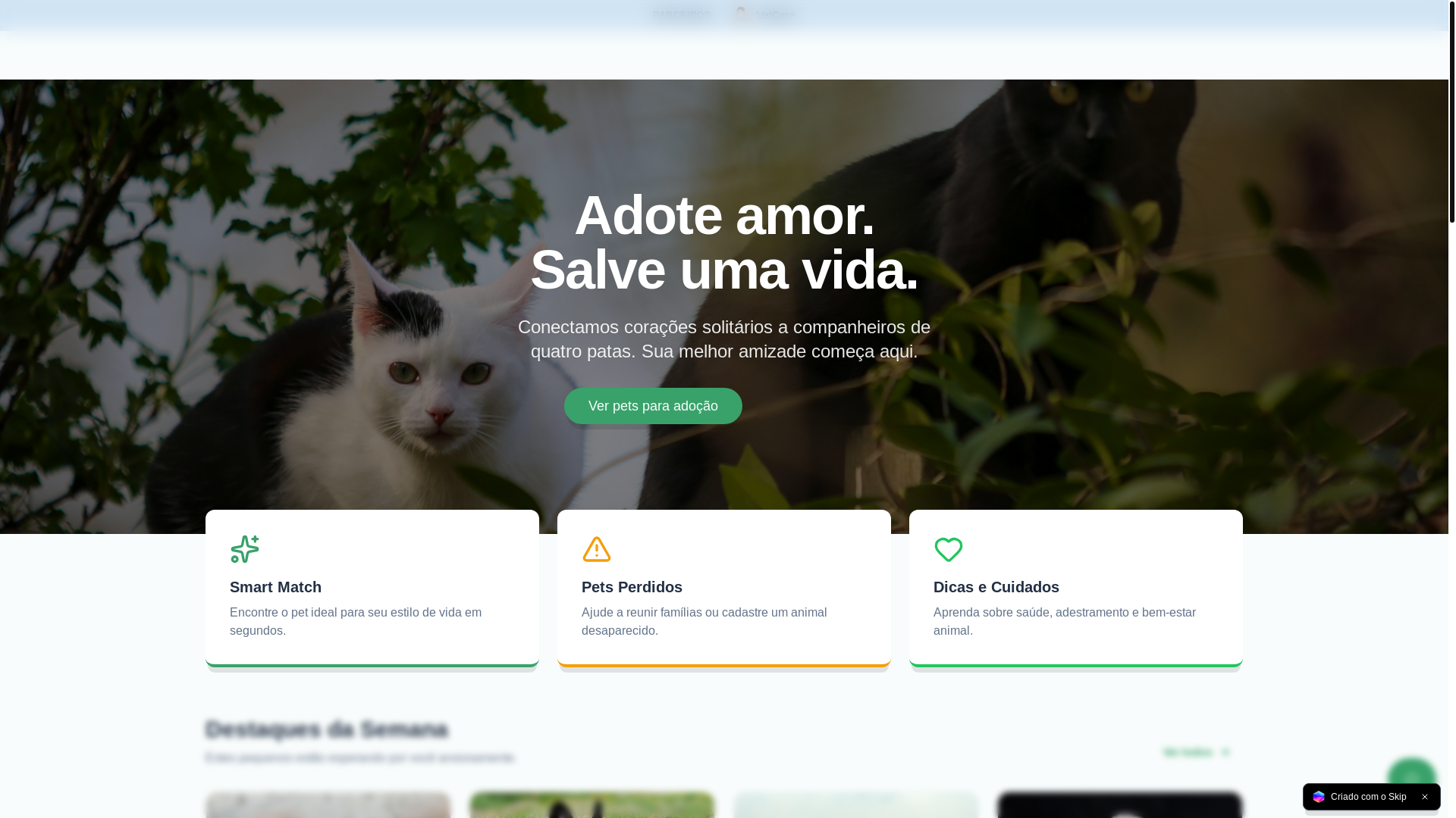 website screenshot of https://petadocao.online/