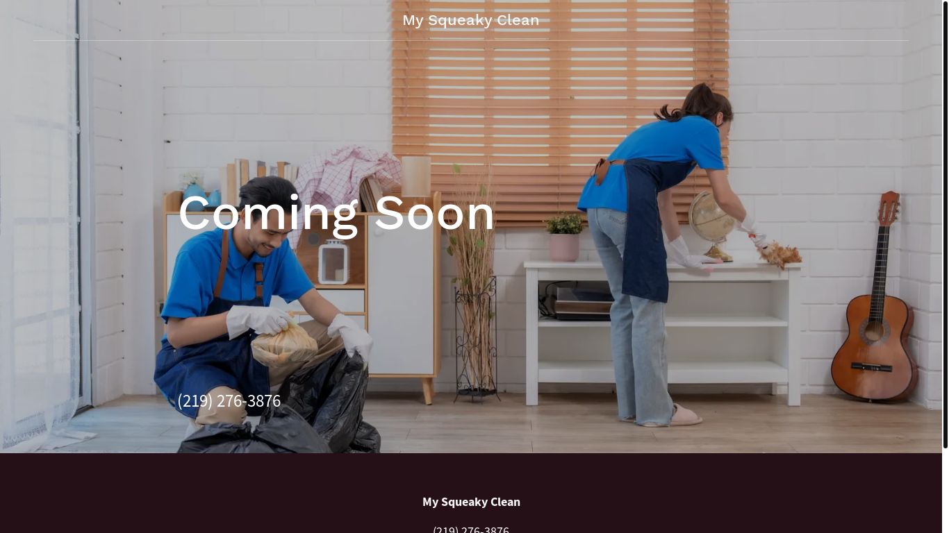 website screenshot of https://mysqueakyclean.net/