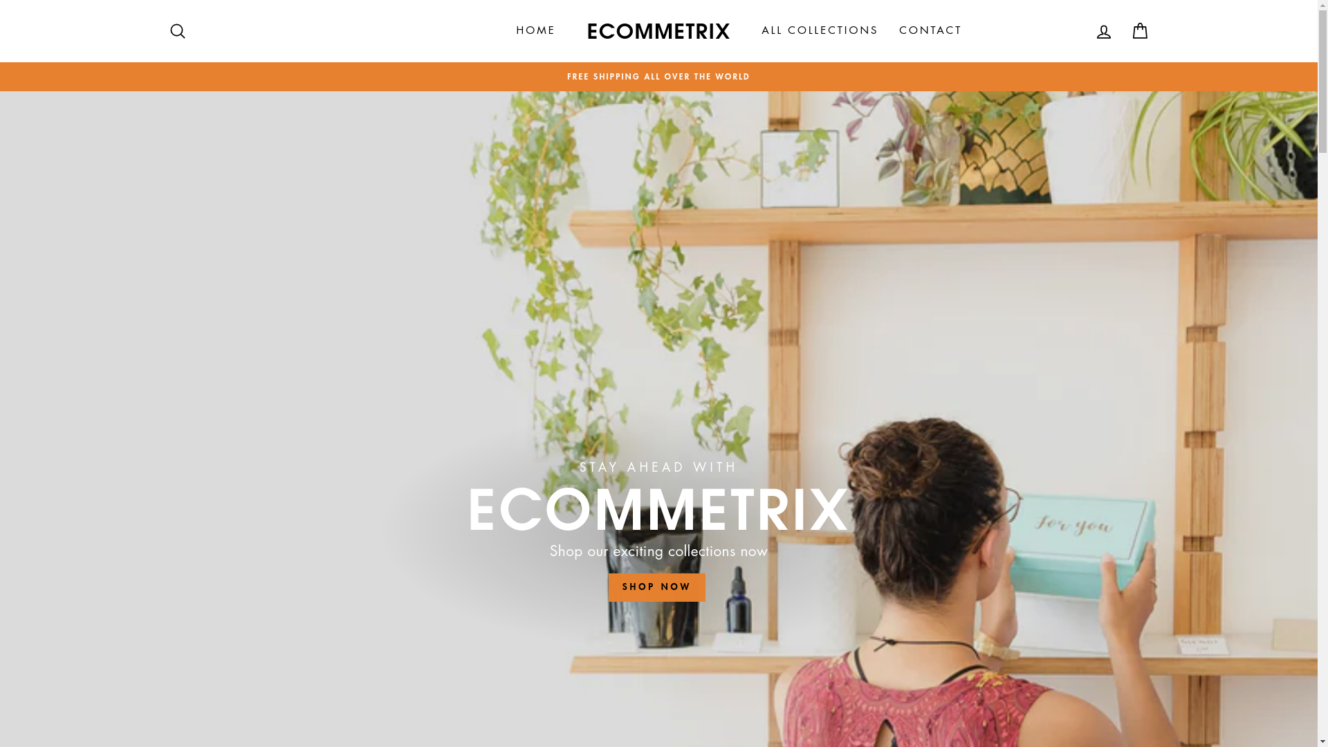 website screenshot of https://ecommetrix.shop/