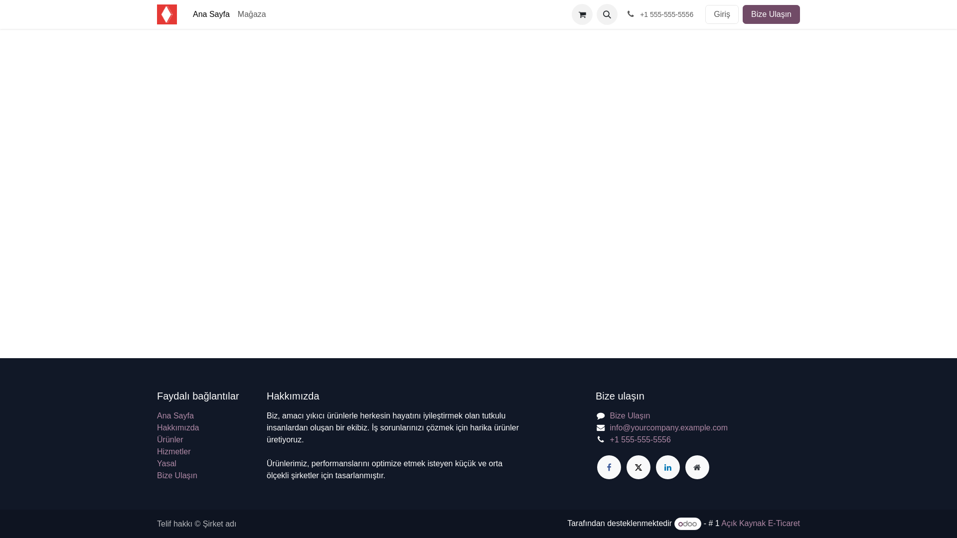 website screenshot of https://techflowmembran.com.tr/