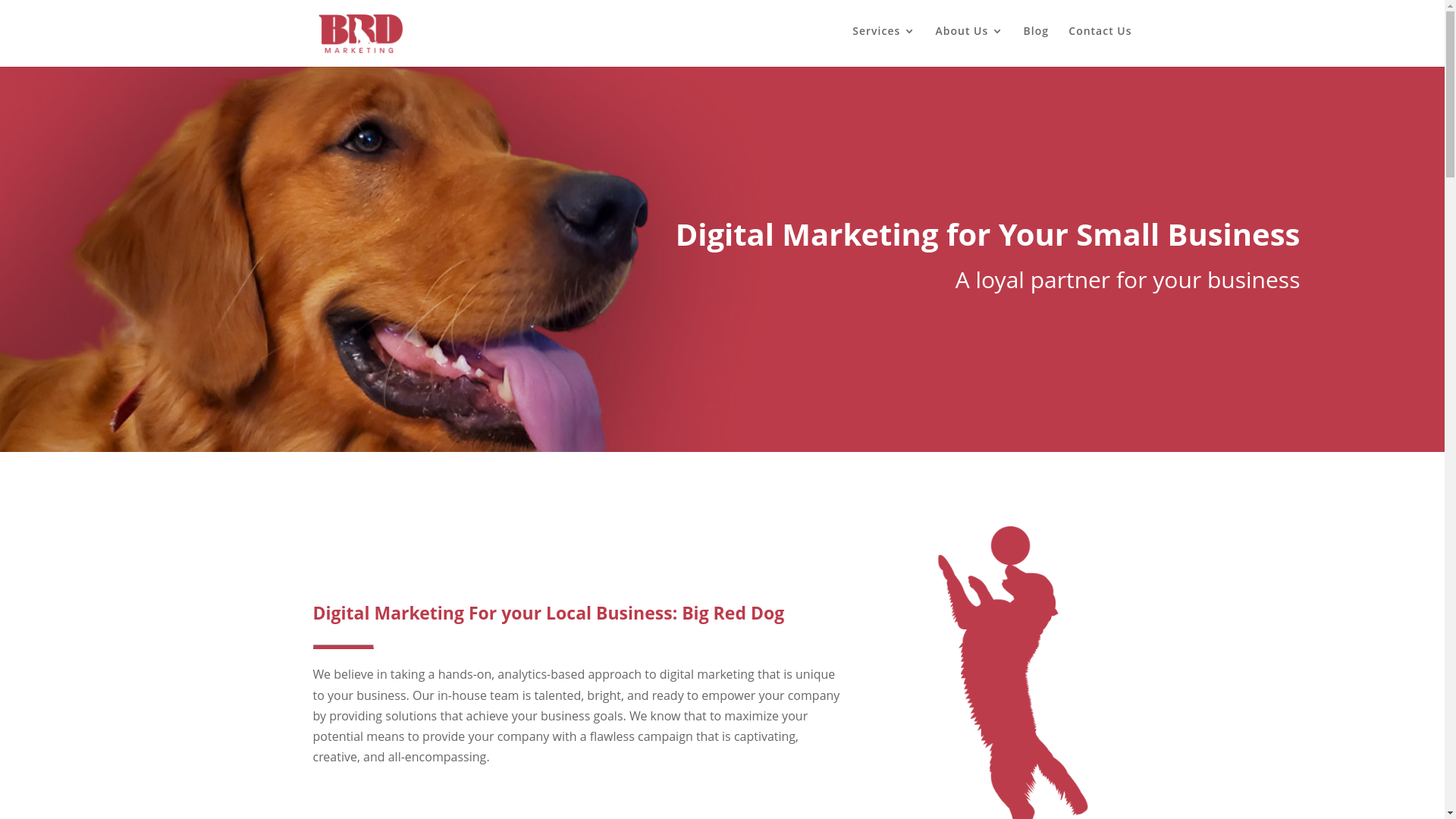 website screenshot of https://bigreddogmarketingcompany.com/