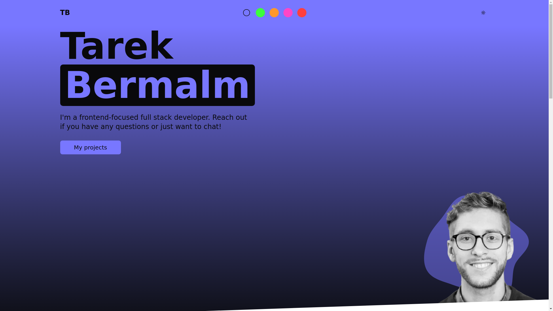 website screenshot of https://tarekbermalm.dev/
