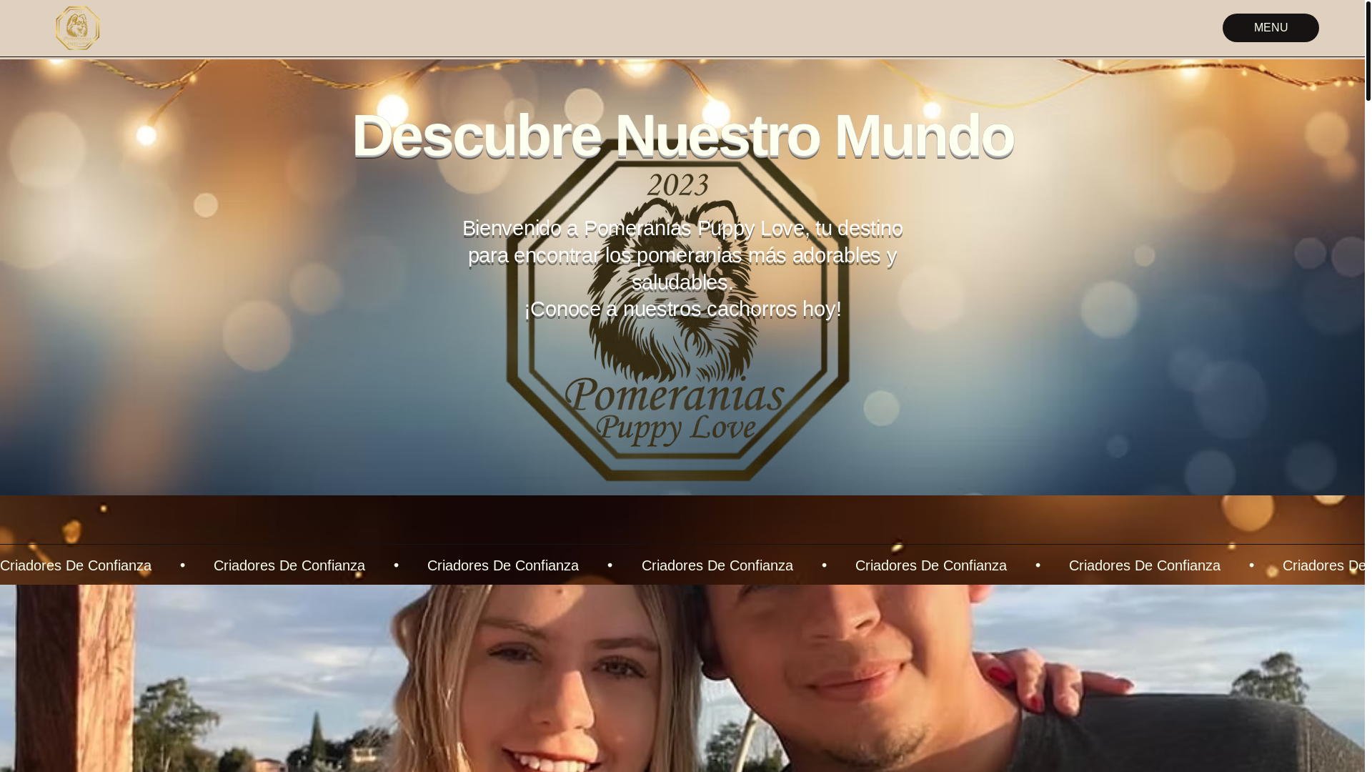 website screenshot of https://pomeraniaspuppylove.com/