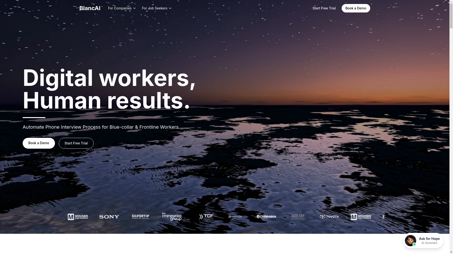 website screenshot of https://blancaico.com/