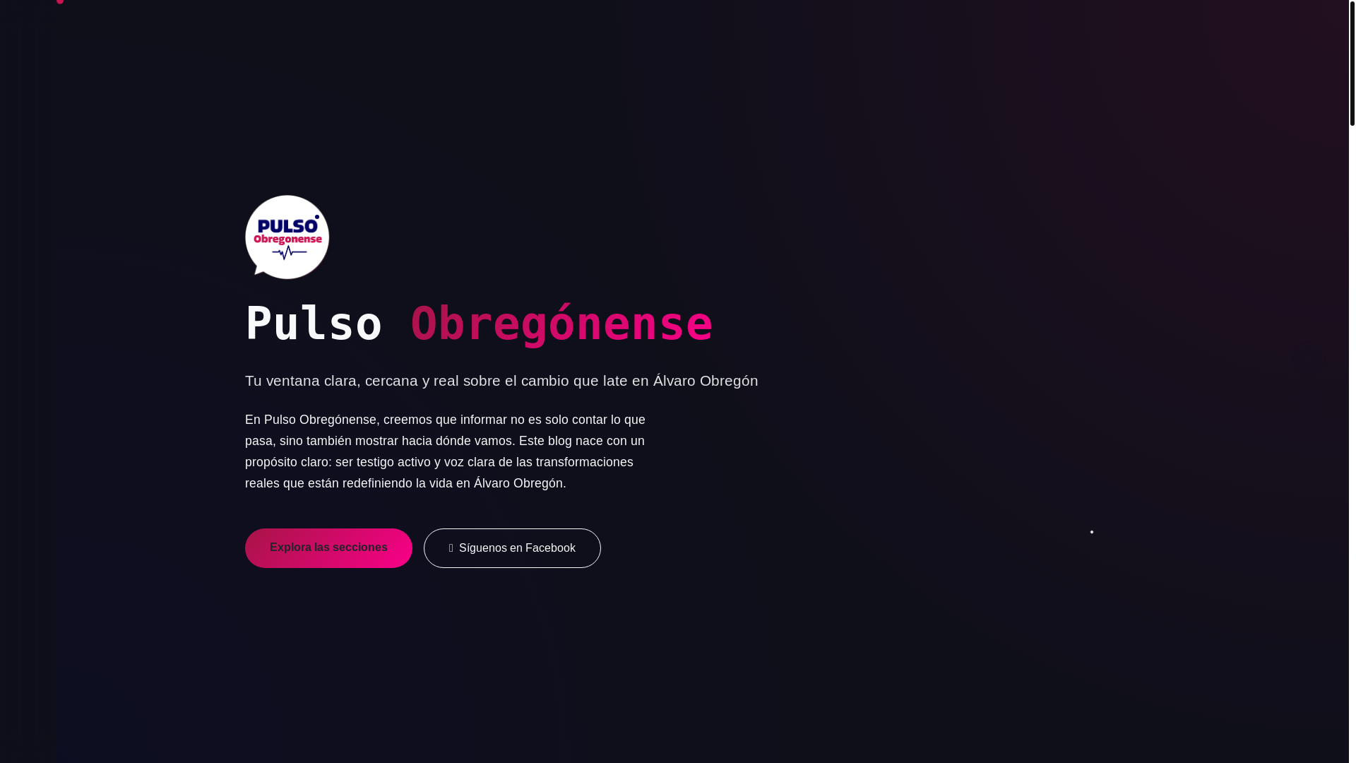 website screenshot of https://pulsoobregonense.com/