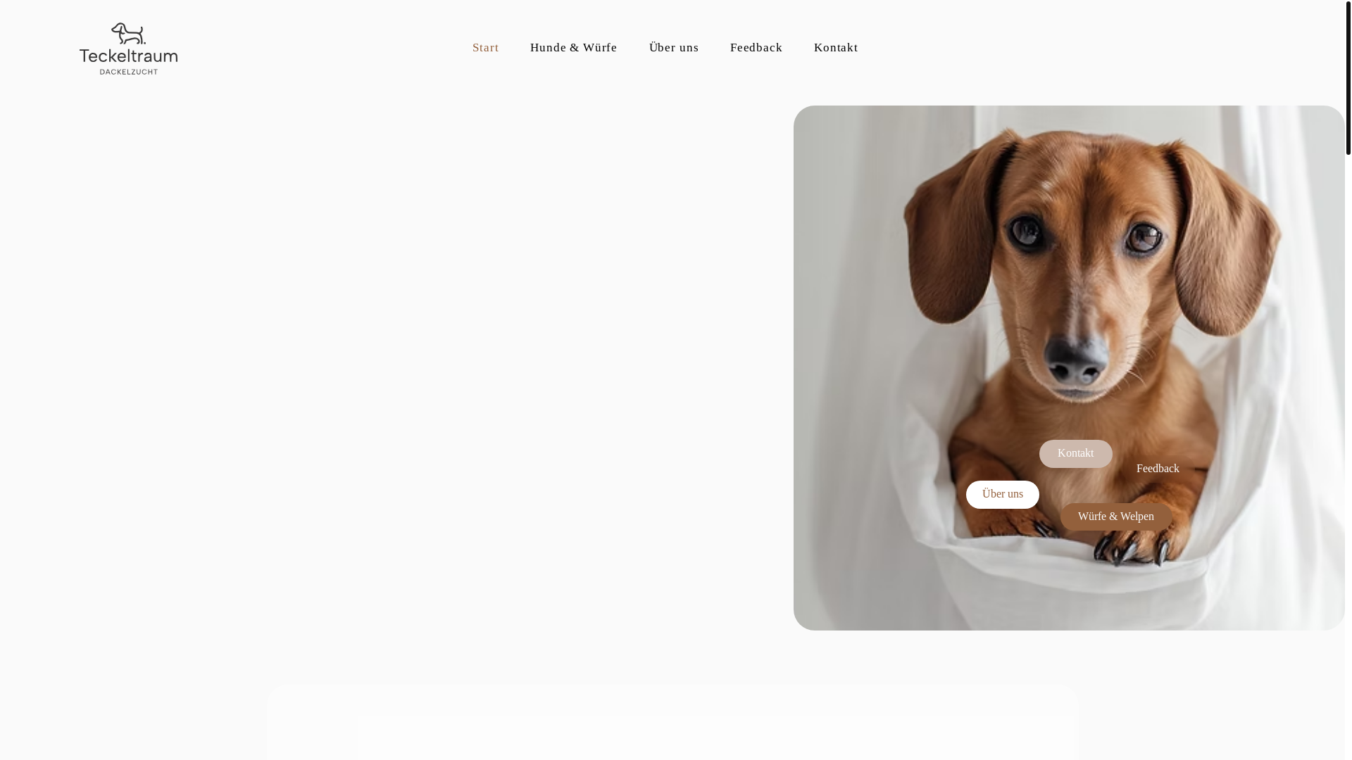 website screenshot of https://vom-teckeltraum.de/