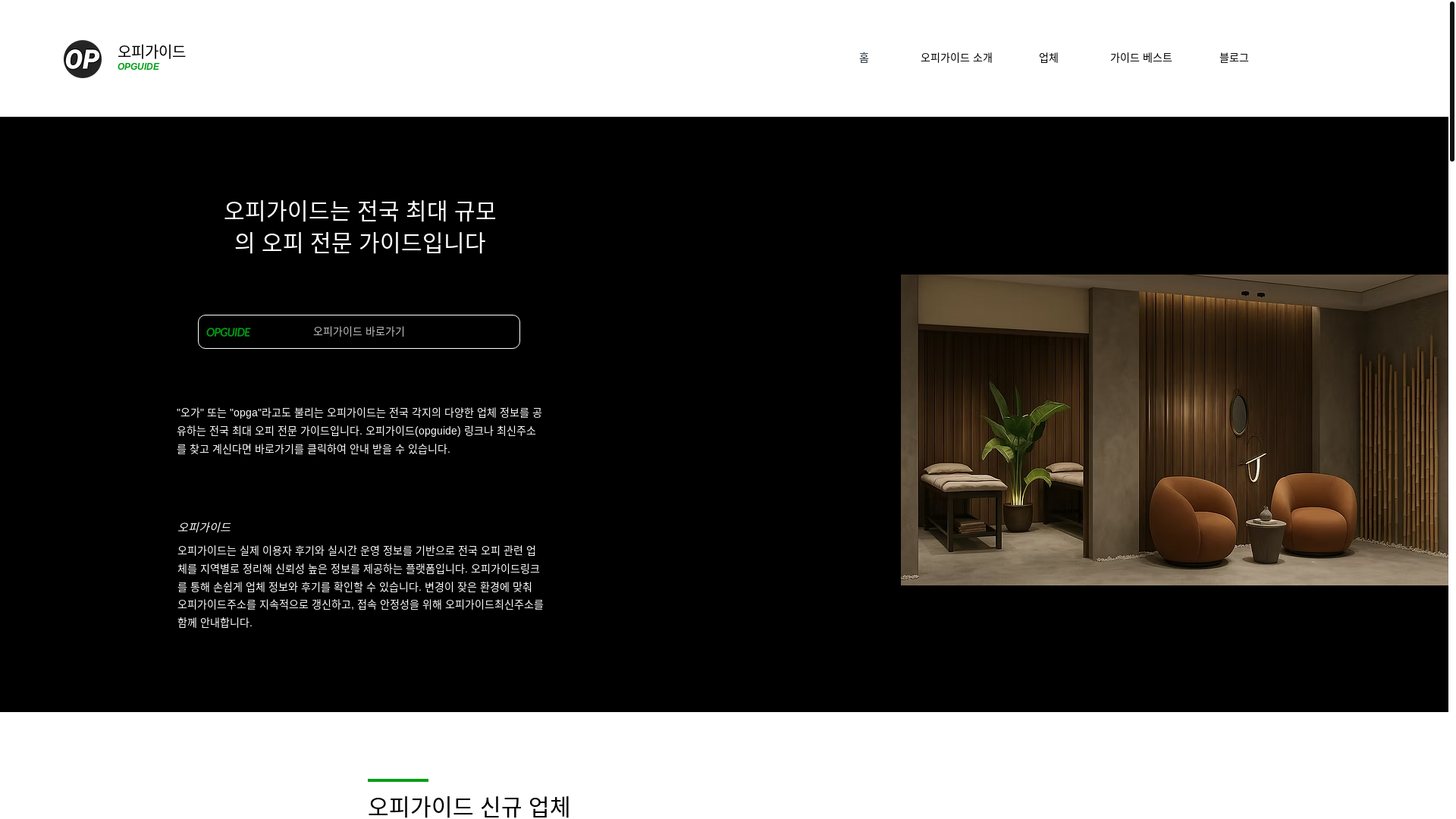 website screenshot of https://opgalink.com/