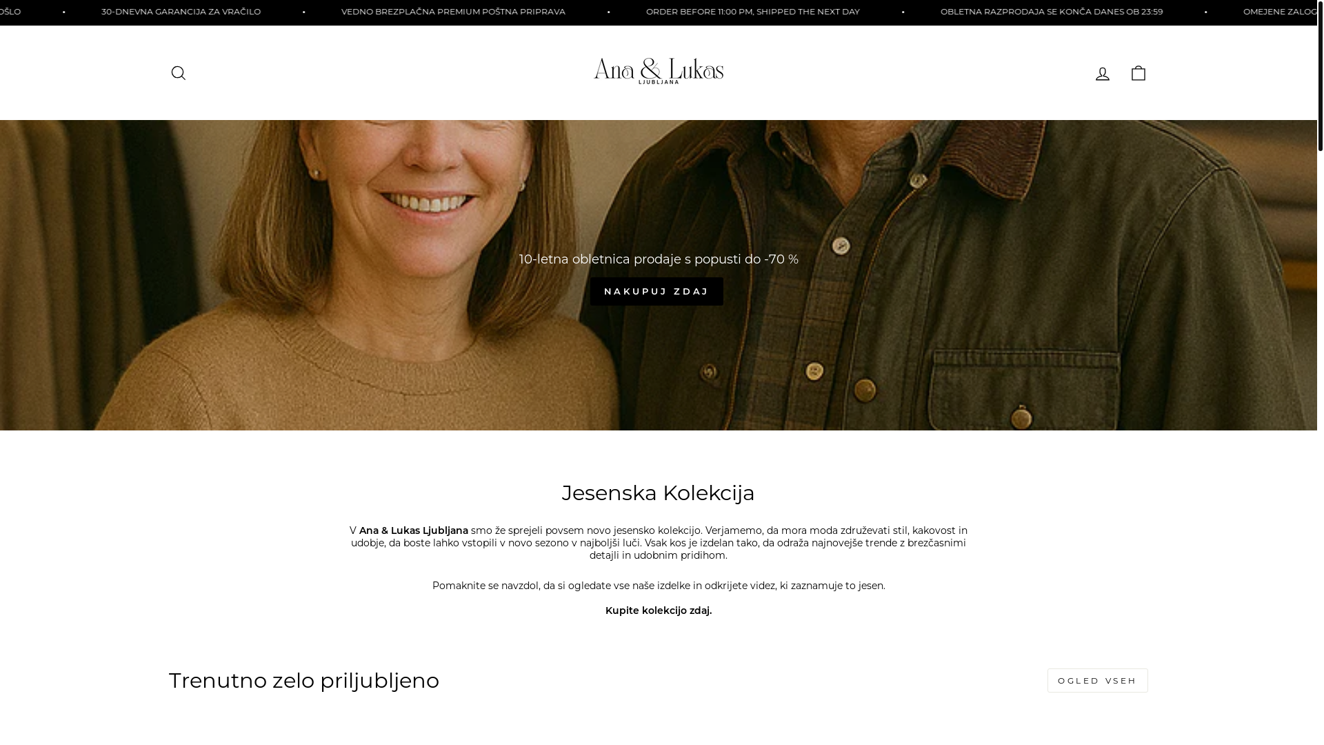 website screenshot of https://analukas.si/