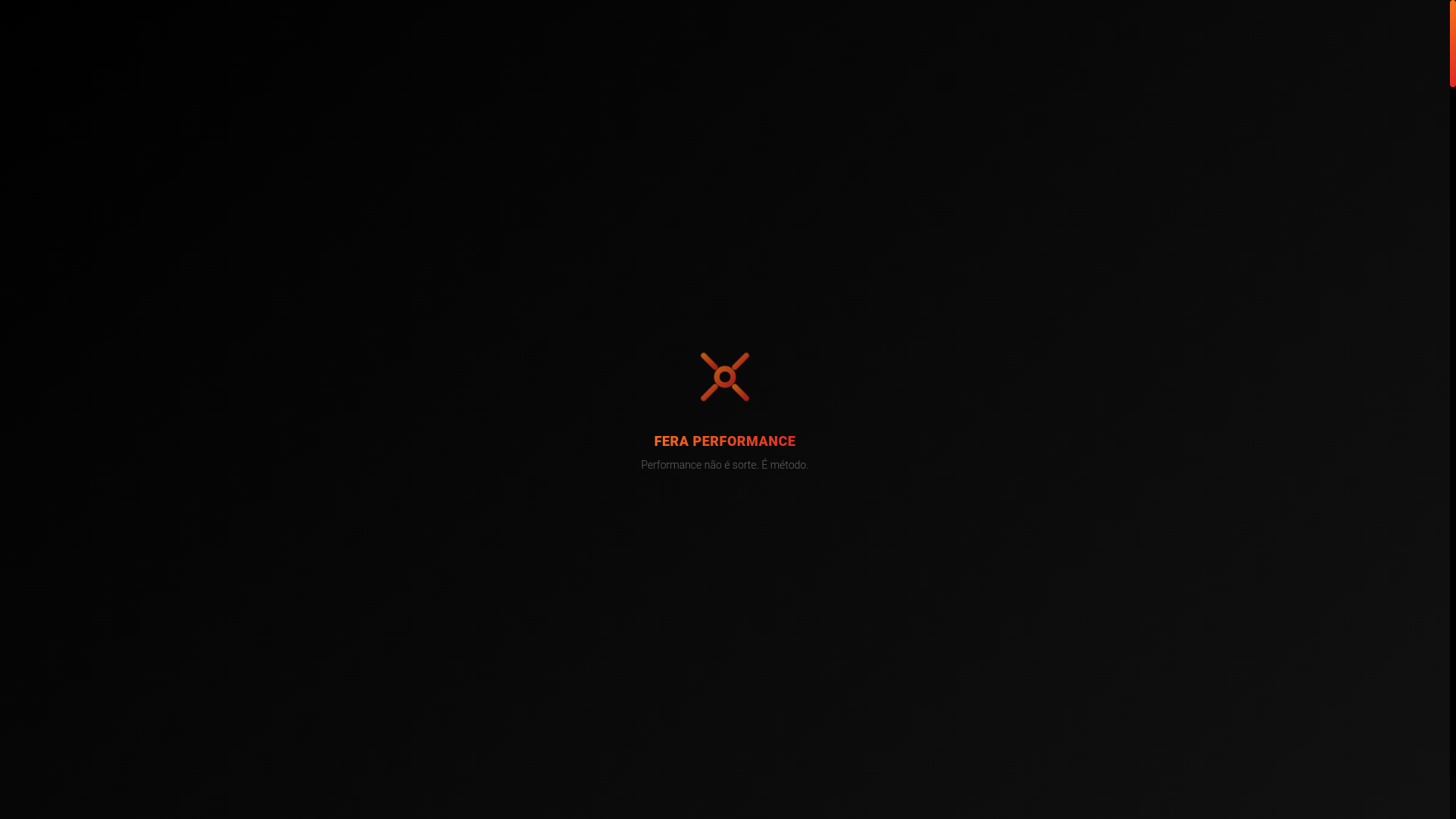 website screenshot of https://feraperformance.com.br/