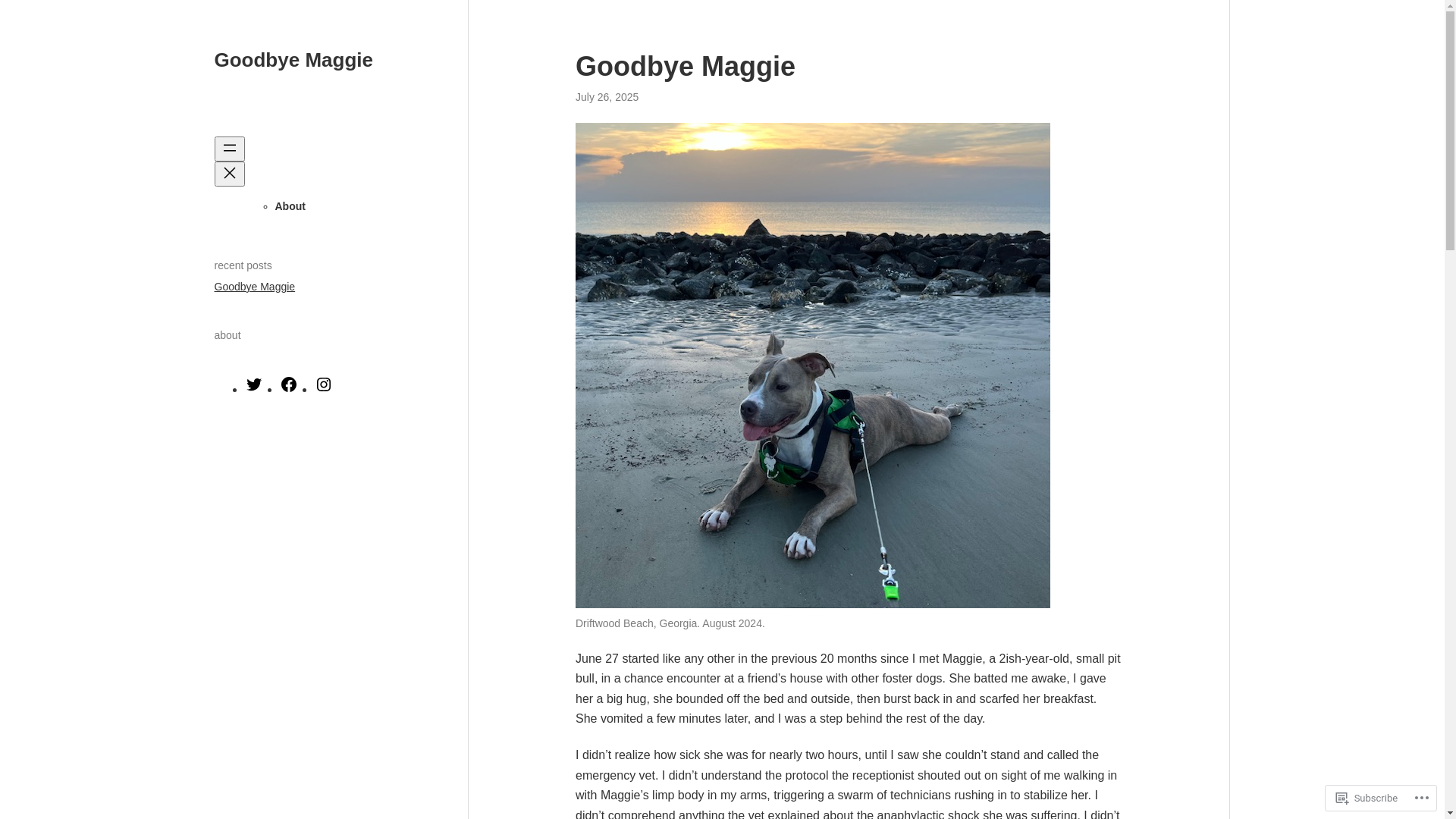 website screenshot of https://maggiememory20.com/