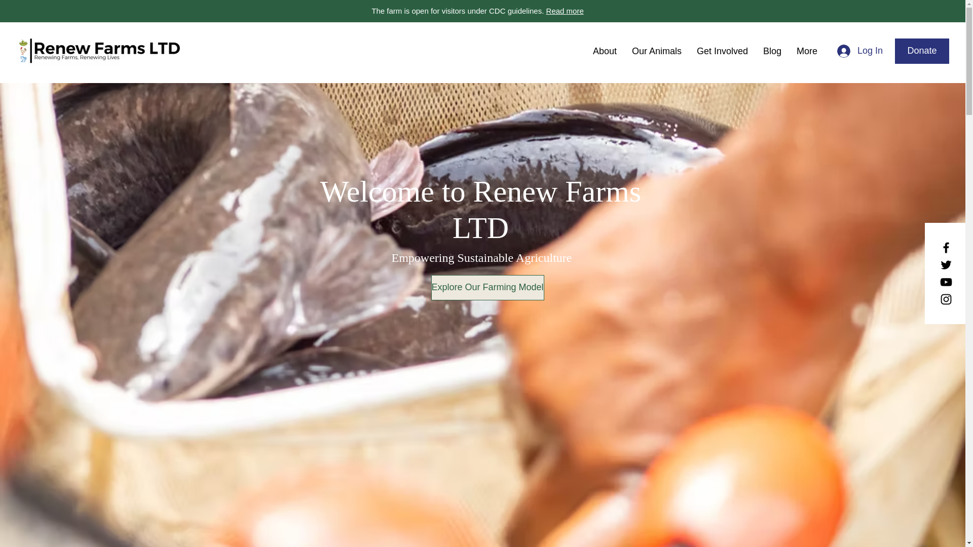 website screenshot of https://renewfarmsltd.com/