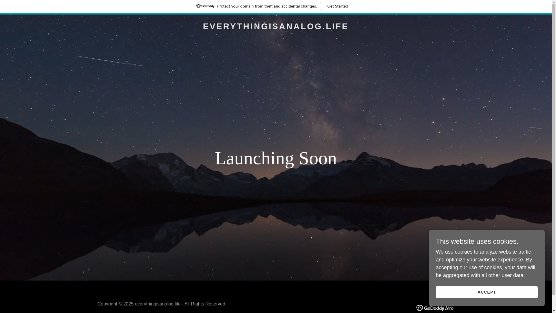 website screenshot of https://everythingisanalog.life/