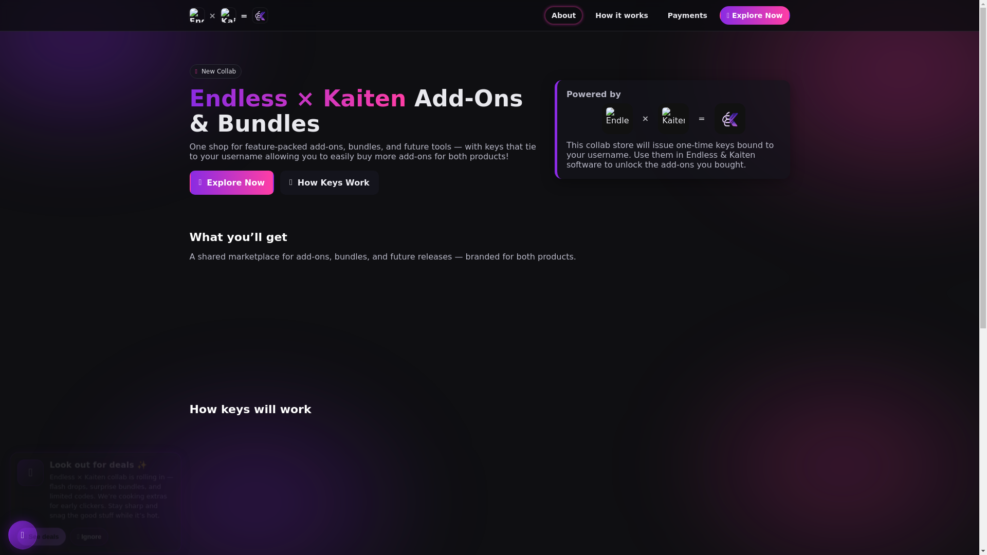 website screenshot of https://endlessandkaiten.store/